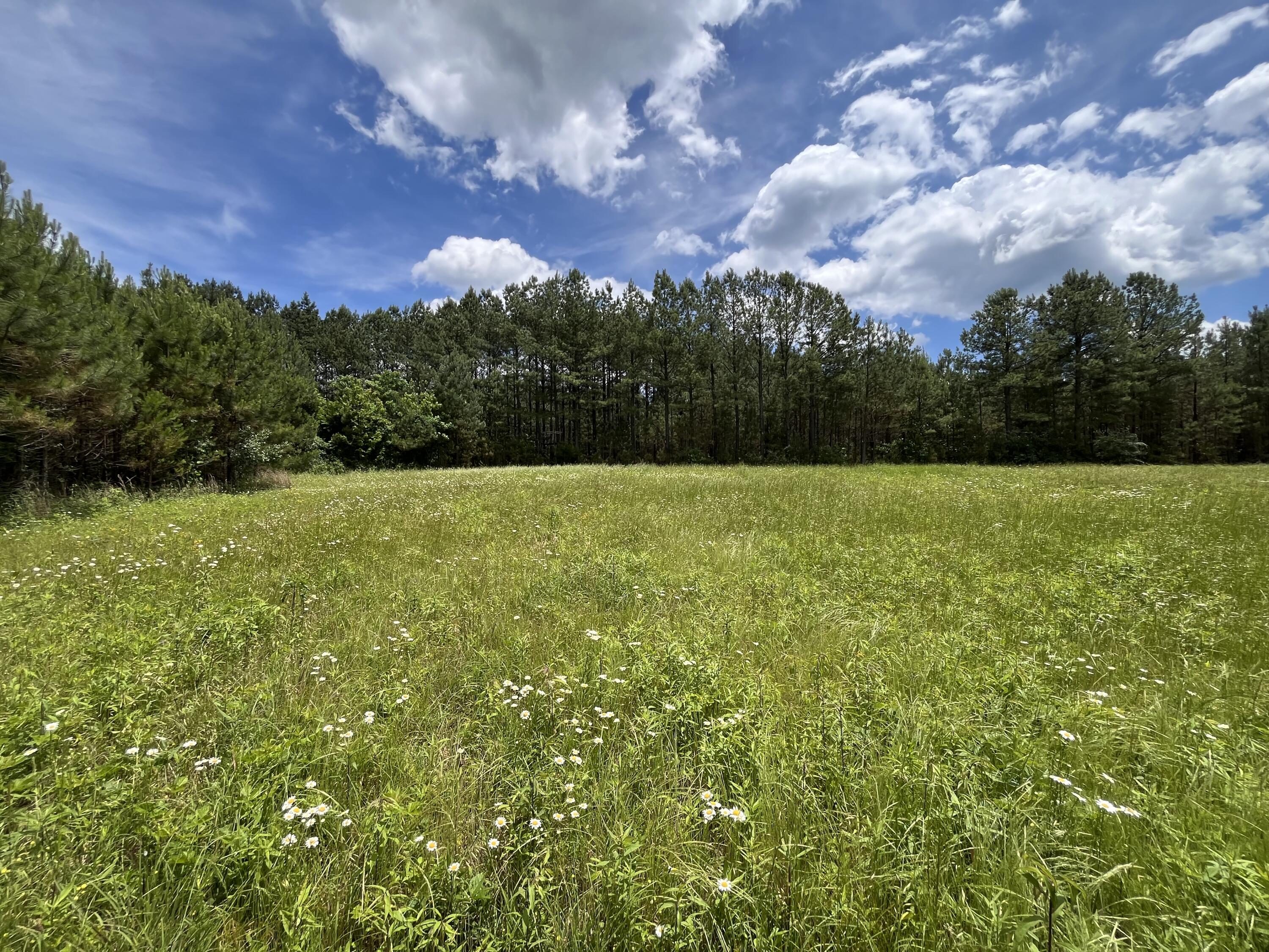 Photo 14 of 31 of 9 Fredonia Rd land