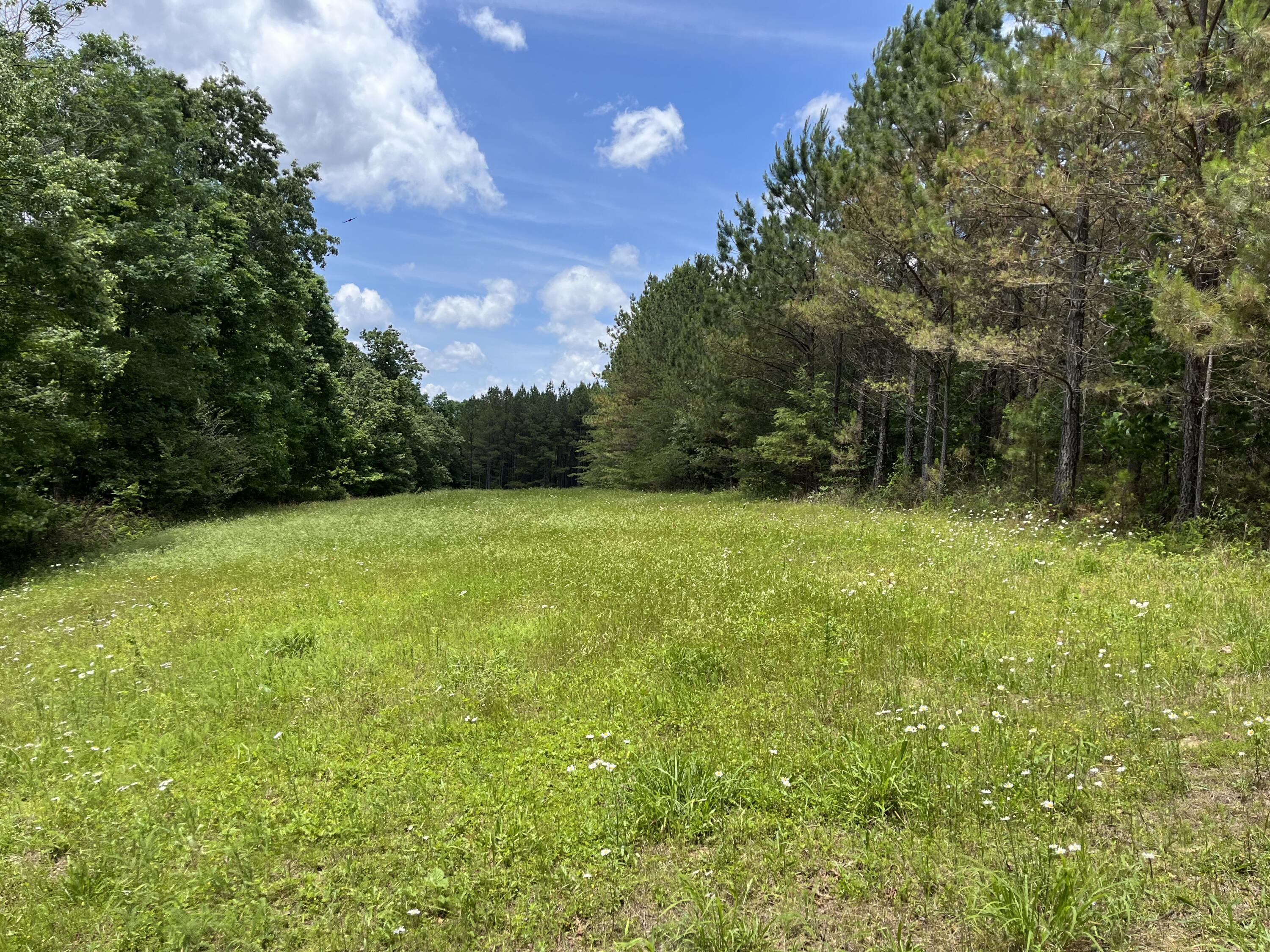 Photo 2 of 31 of 9 Fredonia Rd land