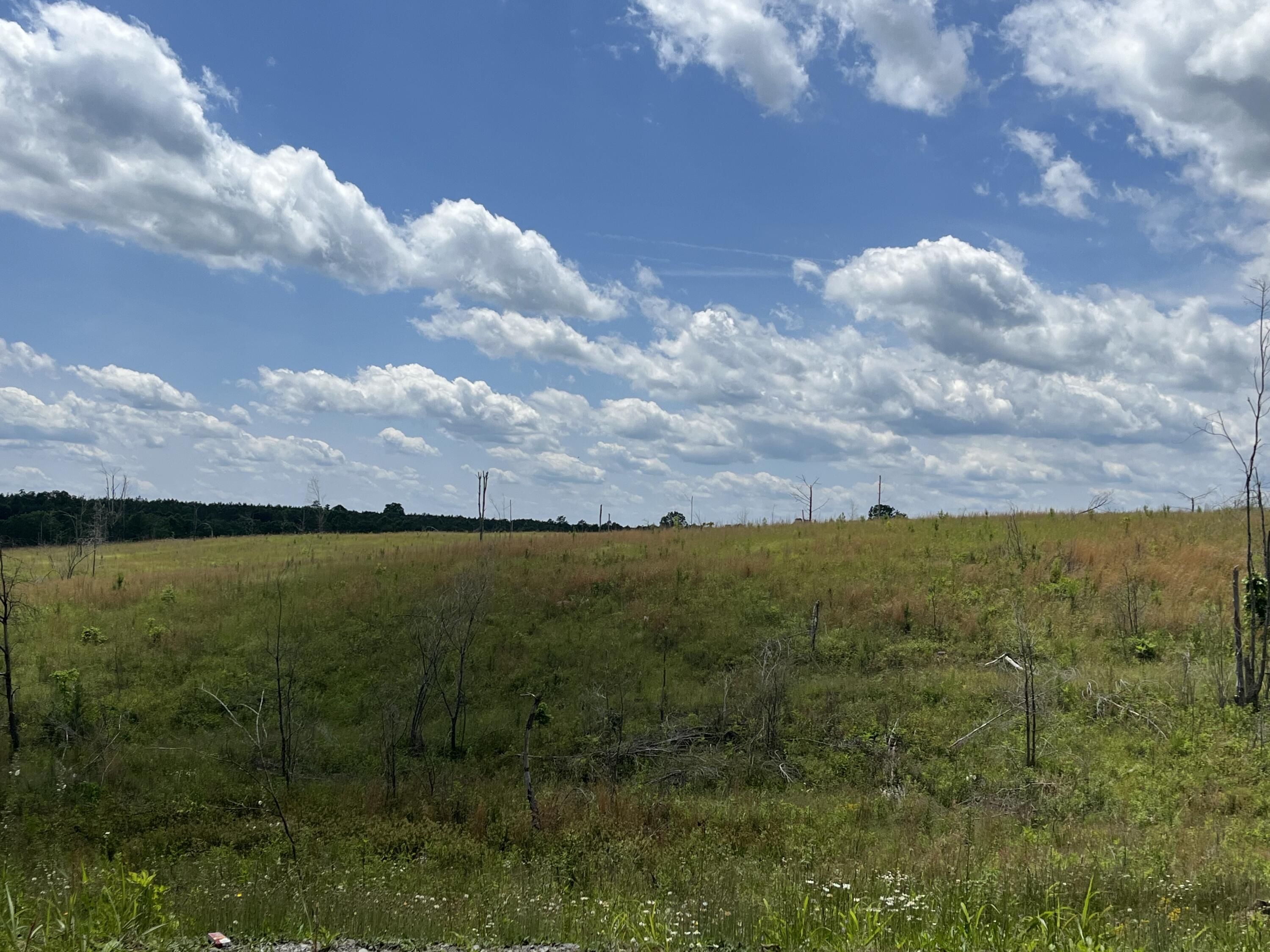 Photo 3 of 16 of 8 Fredonia Rd land