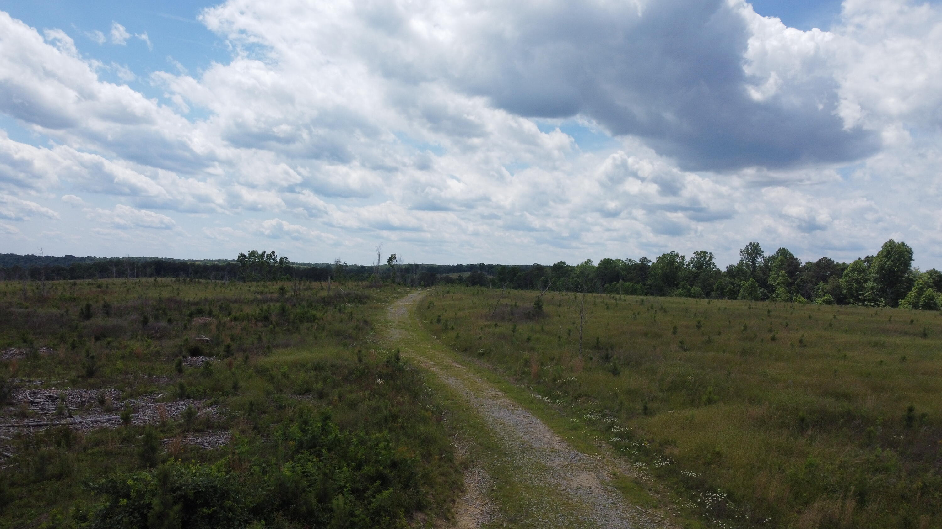 Photo 8 of 16 of 8 Fredonia Rd land