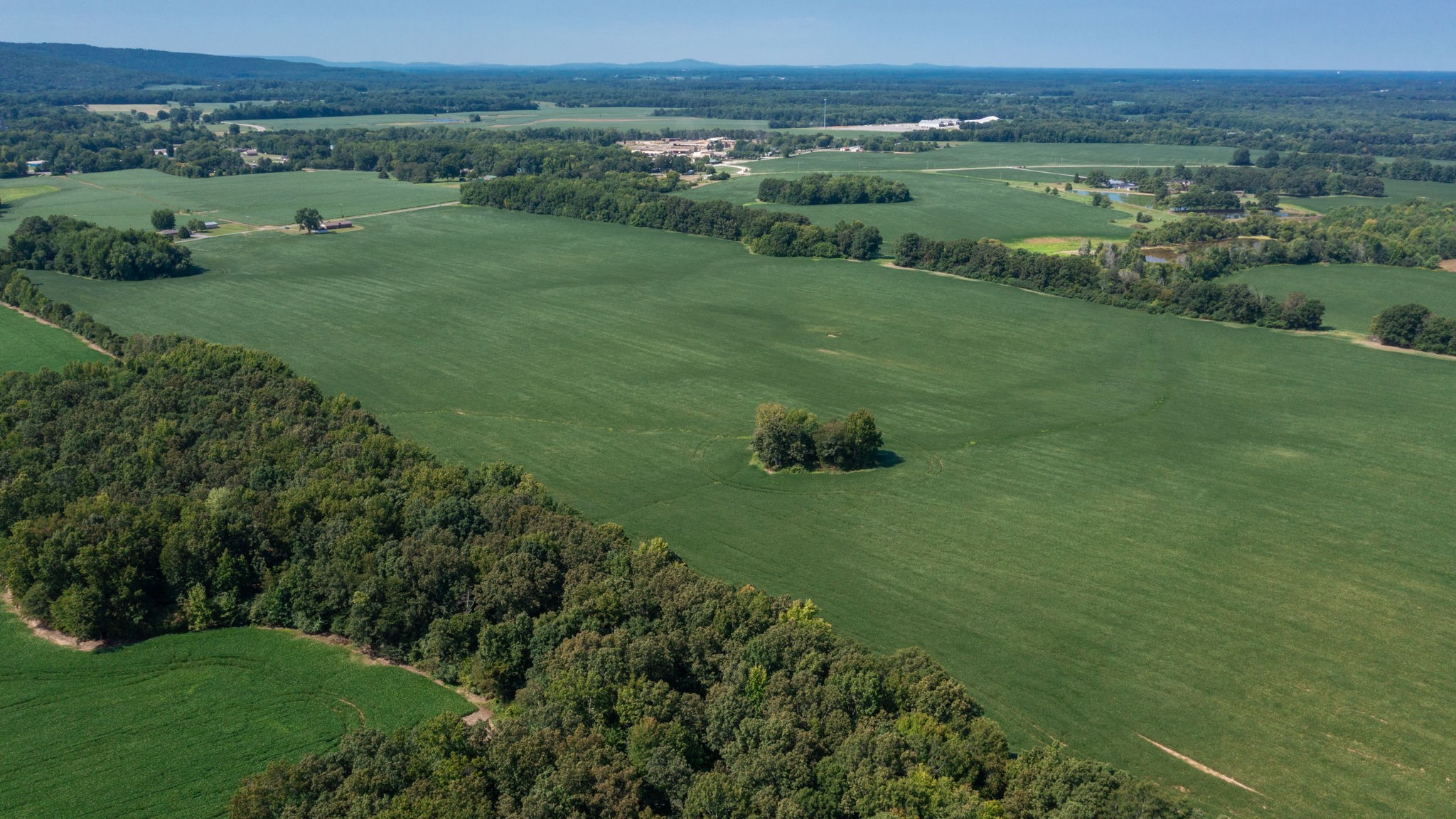 Photo 3 of 12 of 454 Limestone Rd land