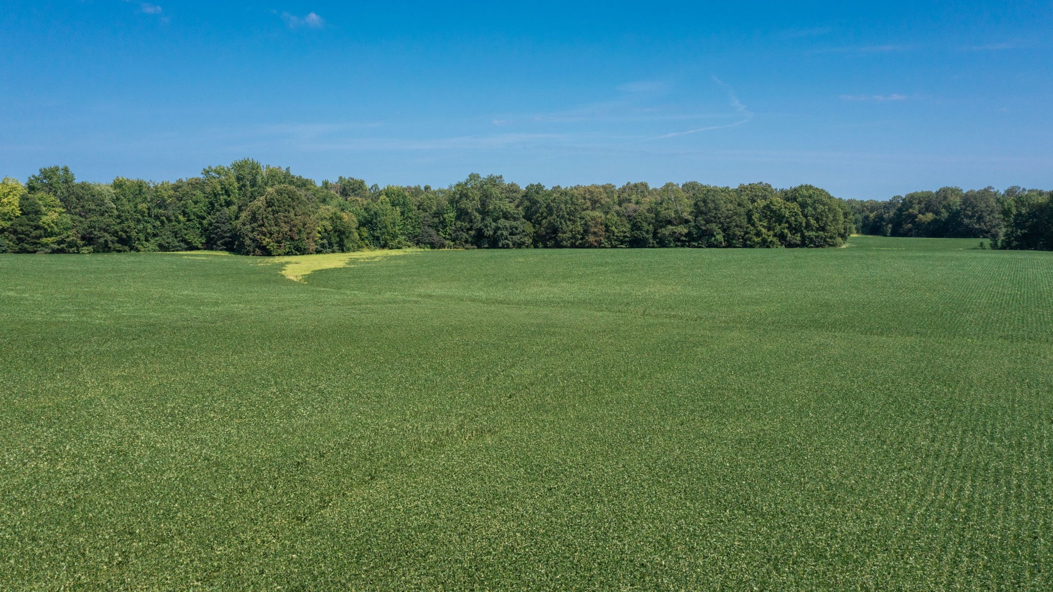 Photo 5 of 12 of 454 Limestone Rd land