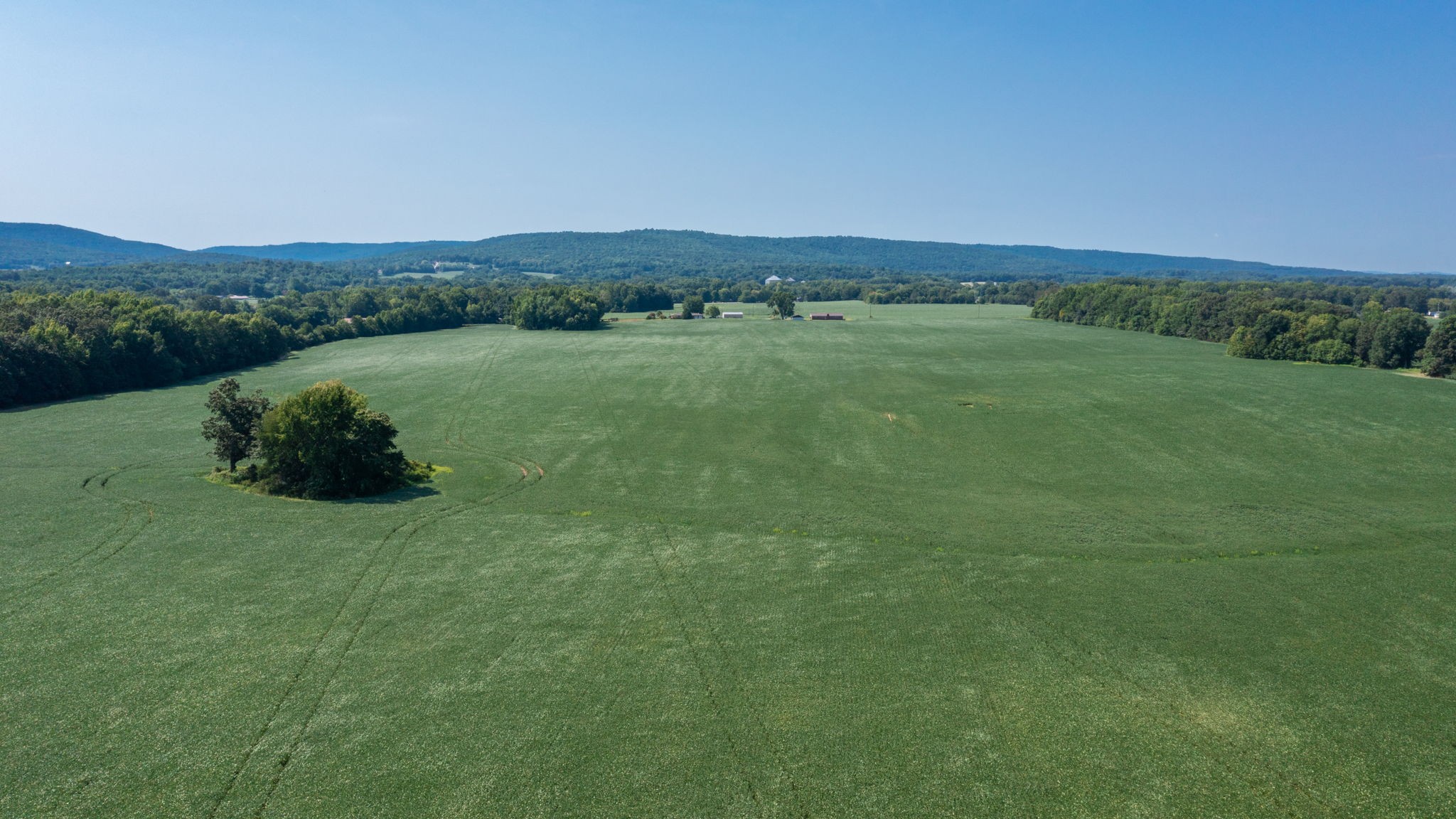 Photo 6 of 12 of 454 Limestone Rd land