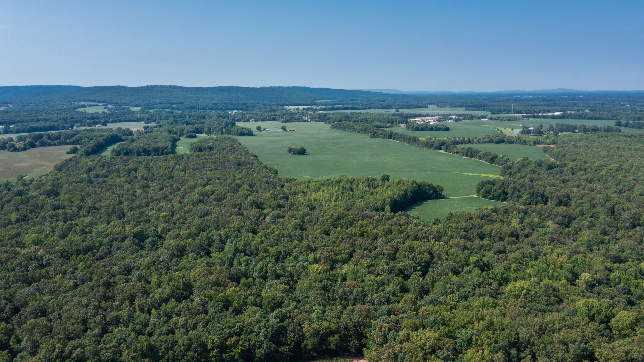 Photo 7 of 12 of 454 Limestone Rd land