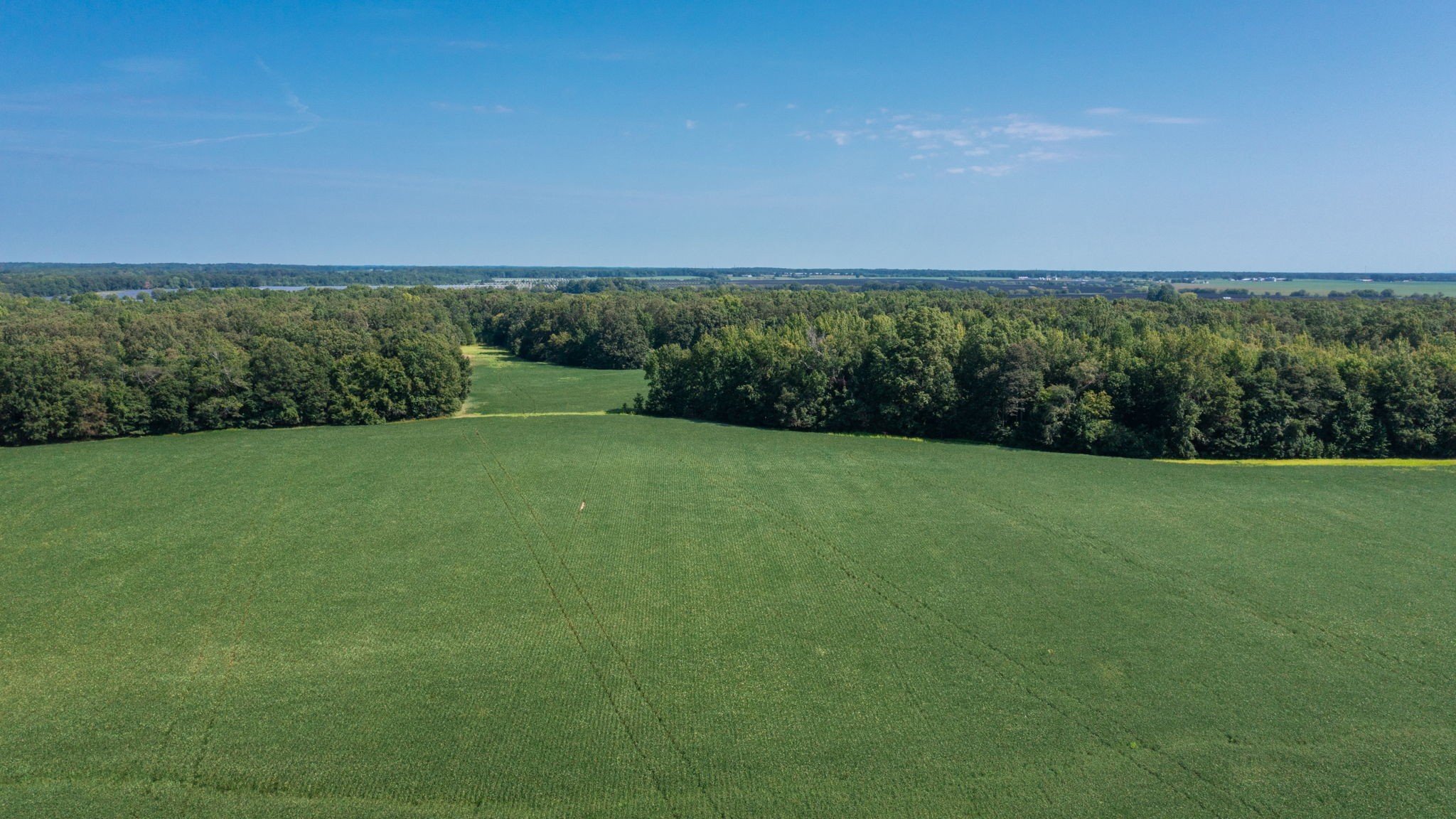 Photo 8 of 12 of 454 Limestone Rd land