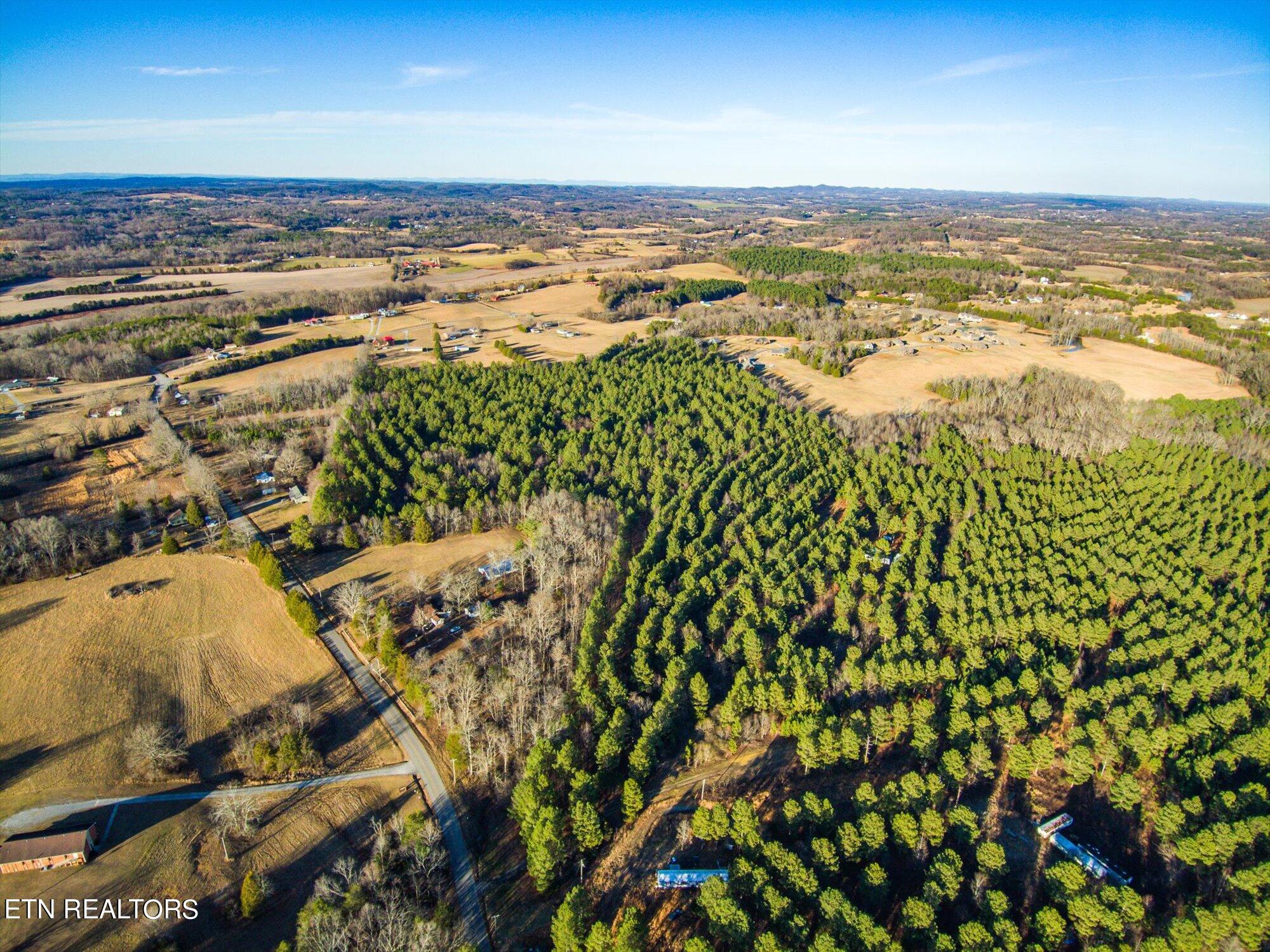 Photo 2 of 2 of 2227 County Road 561 Tract 3A land