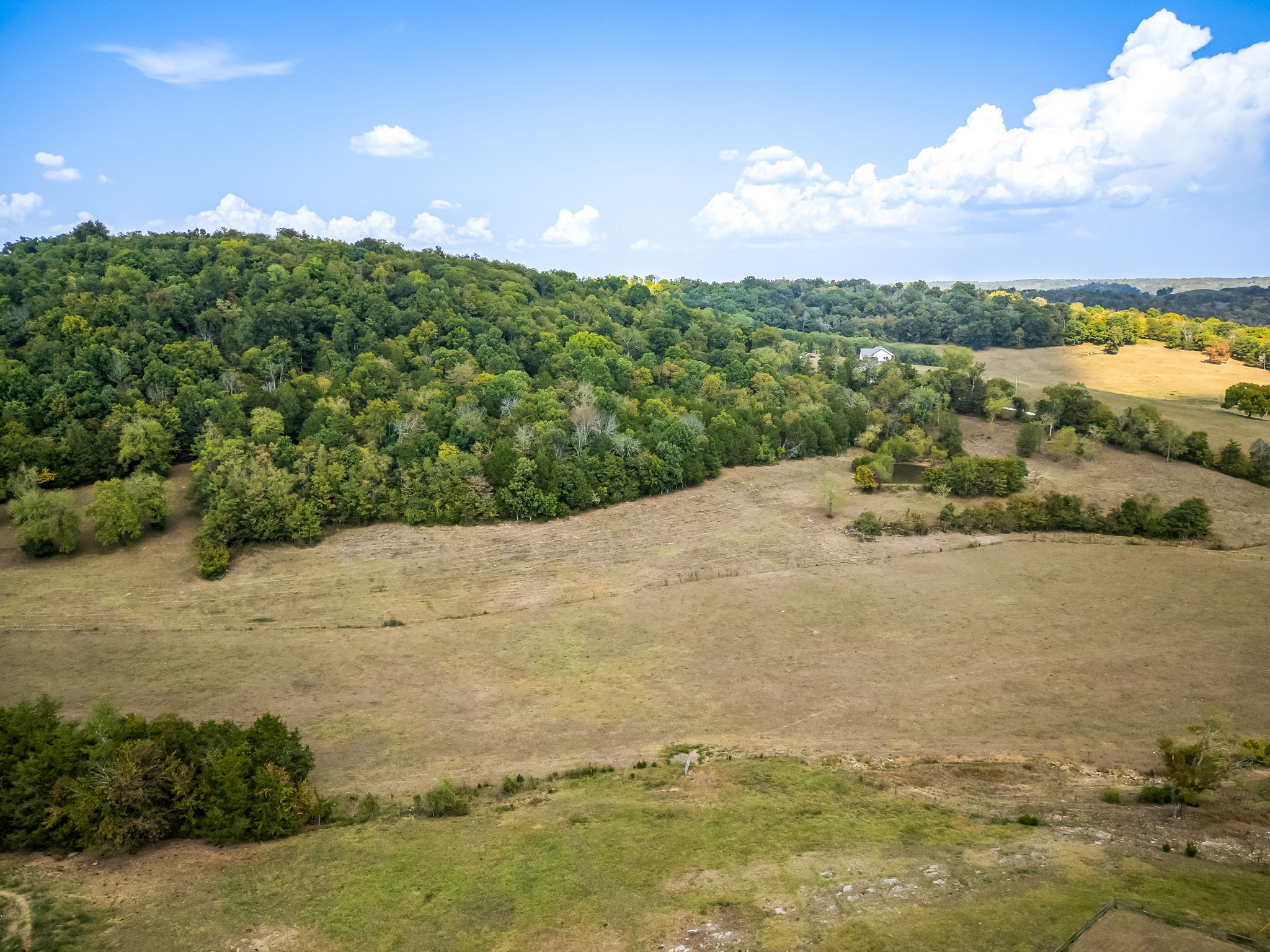 Photo 3 of 16 of 165 Polecat Branch rd land