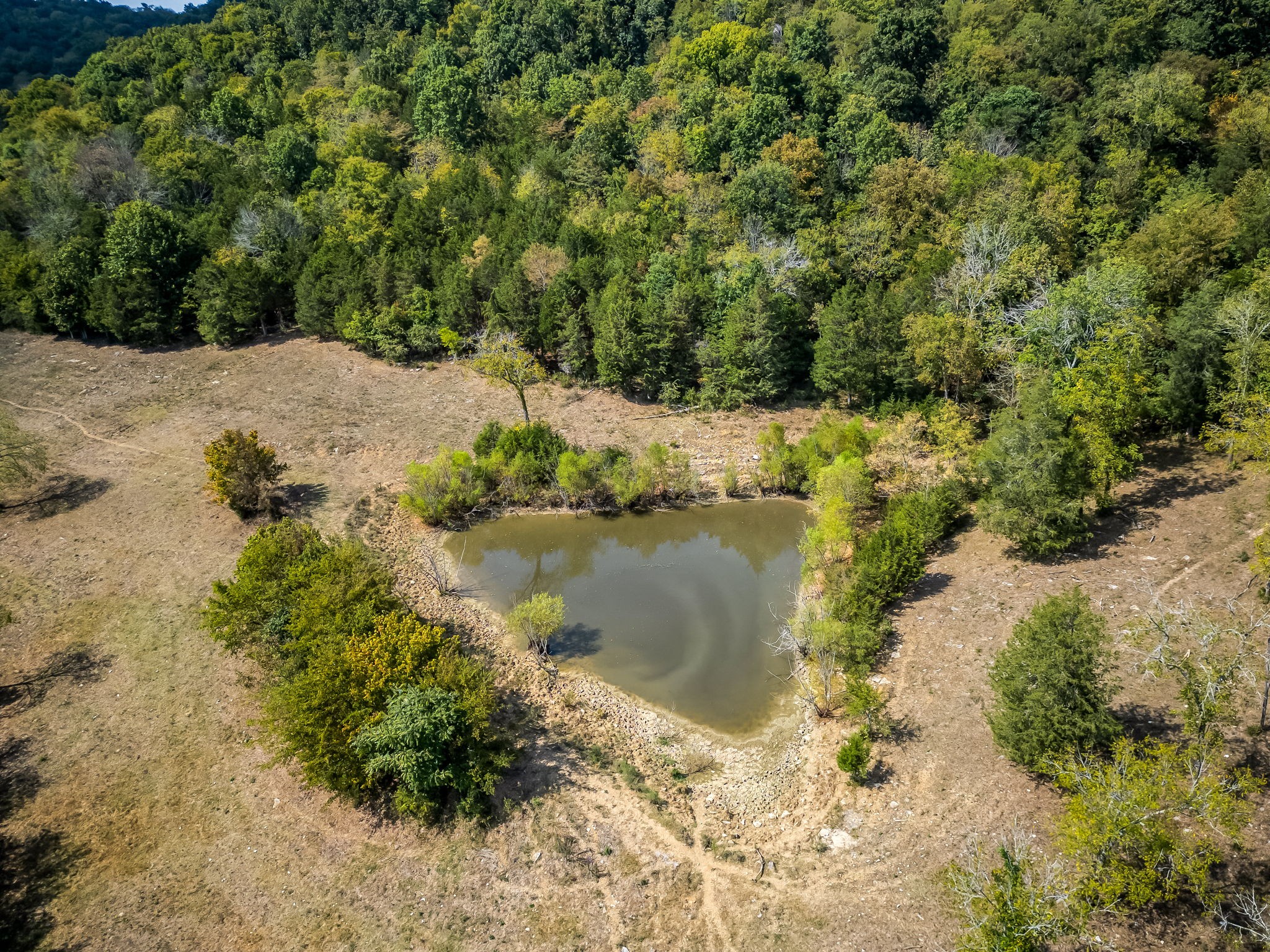 Photo 5 of 16 of 165 Polecat Branch rd land