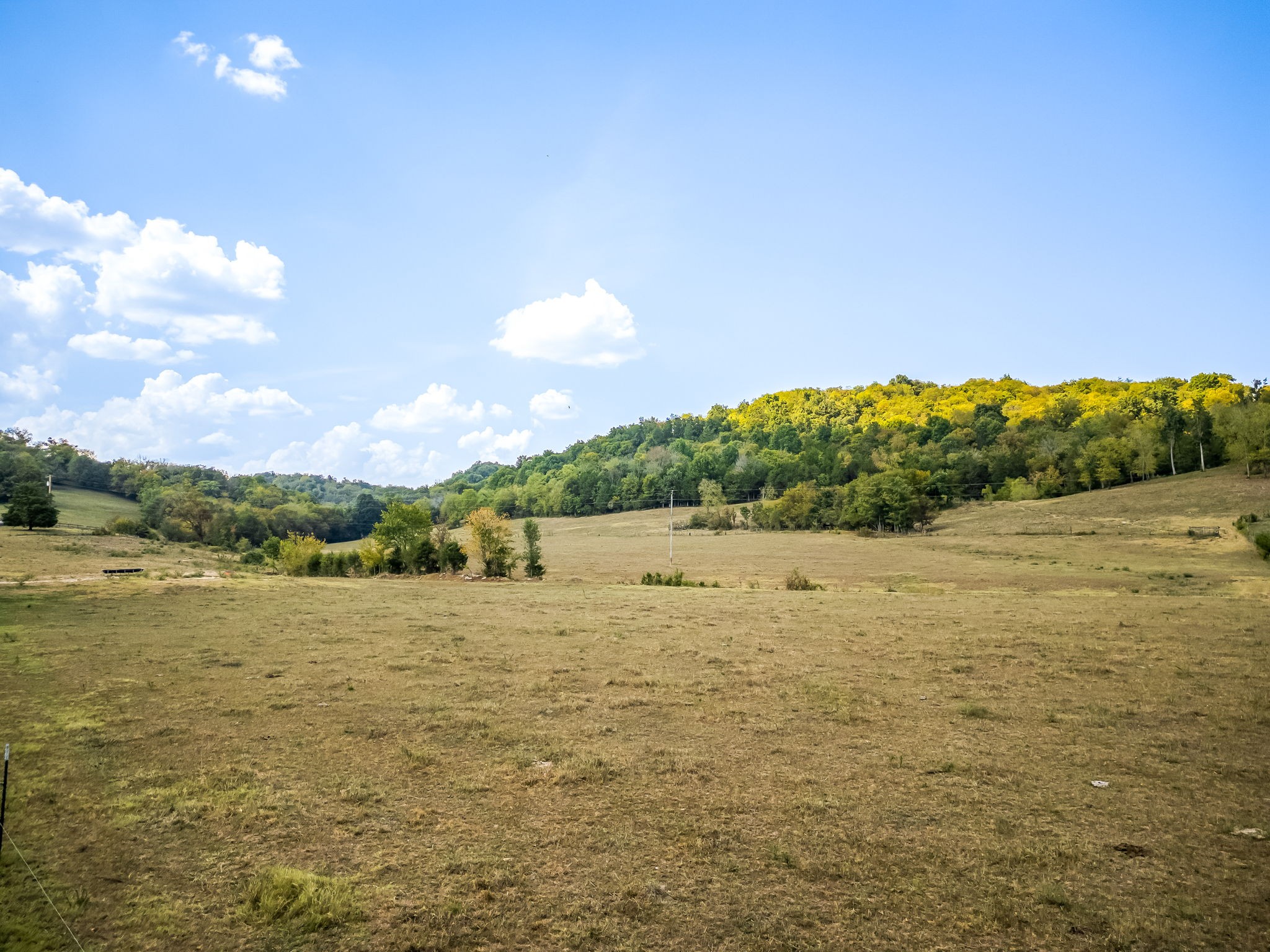 Photo 6 of 16 of 165 Polecat Branch rd land