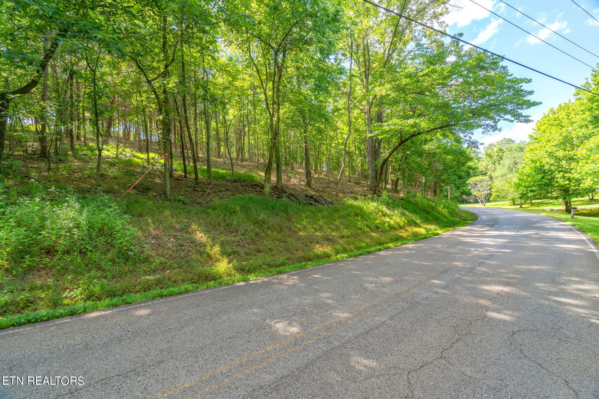 Photo 2 of 10 of 786 Little Dogwood Rd land