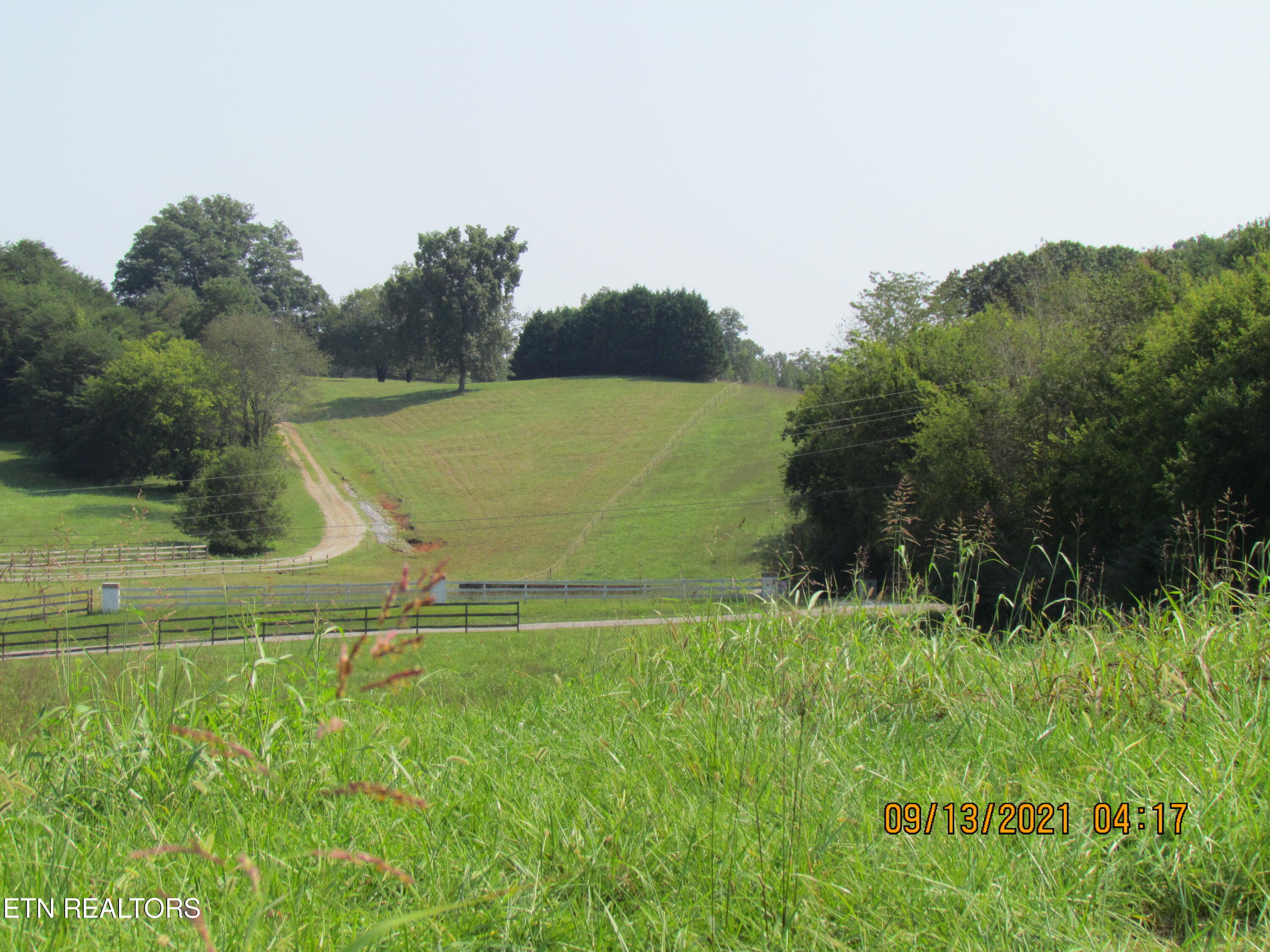 Photo 7 of 20 of Marble Bluff Drive land