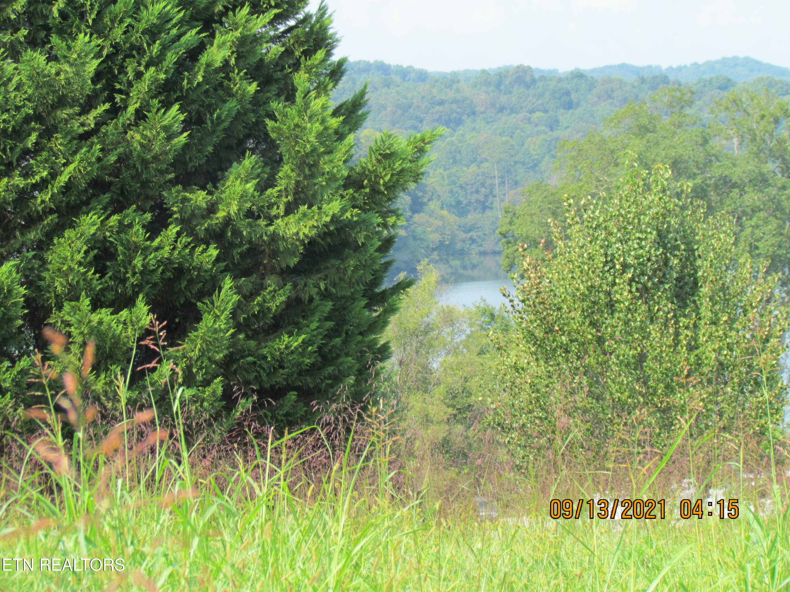 Photo 9 of 20 of Marble Bluff Drive land