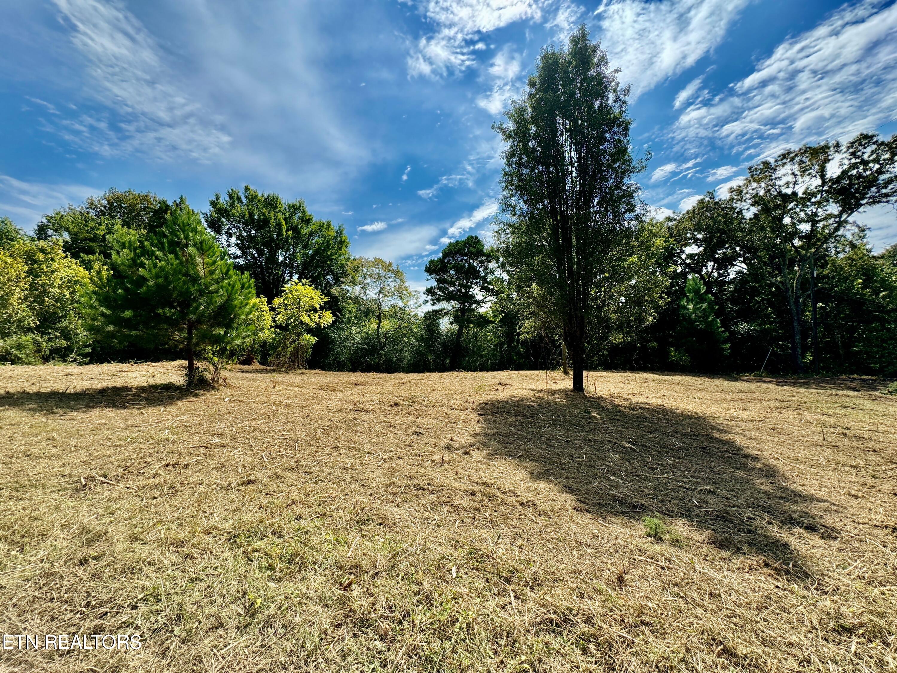 Photo 13 of 14 of 8214 Norris Freeway land