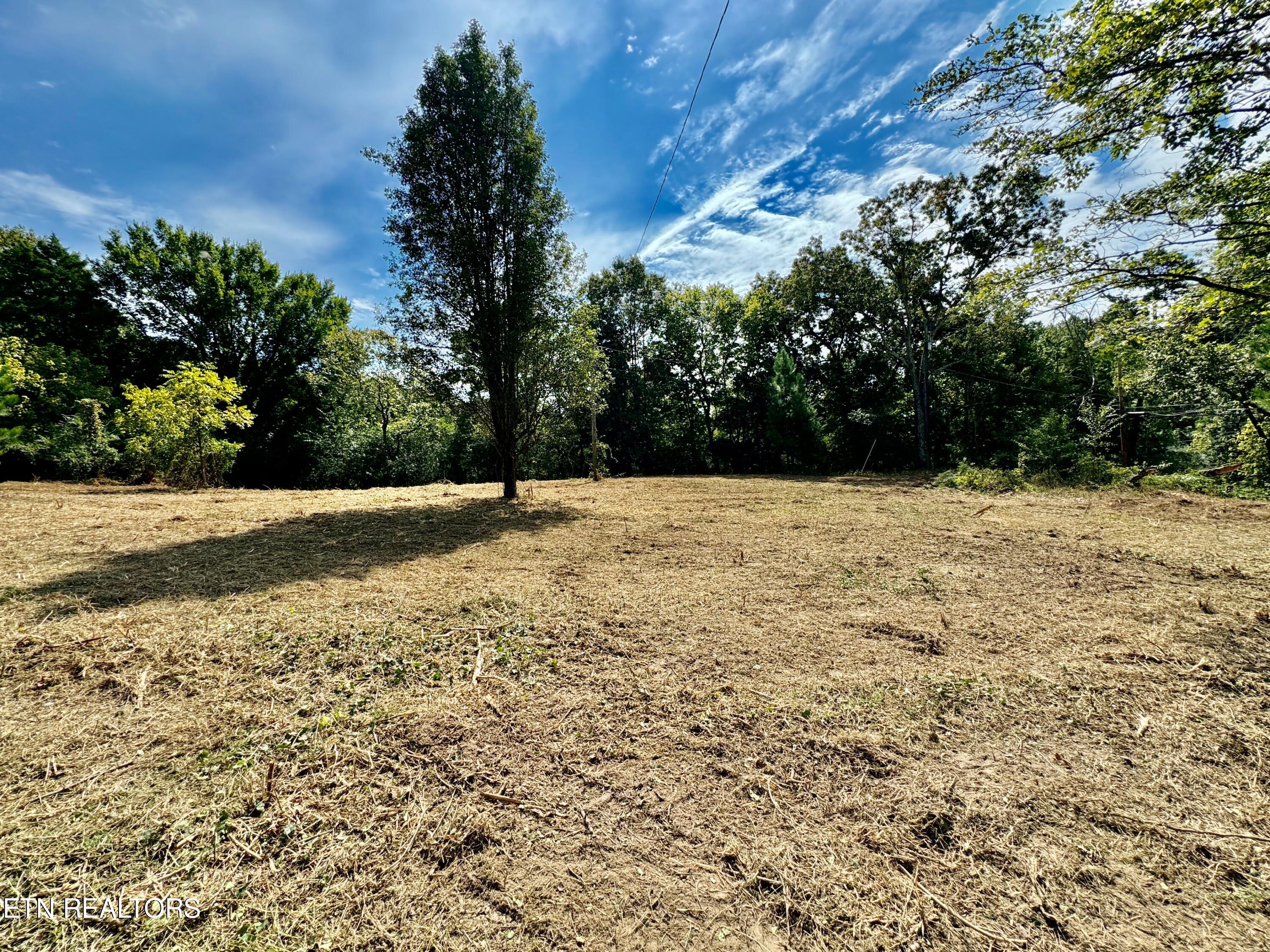 Photo 4 of 14 of 8214 Norris Freeway land