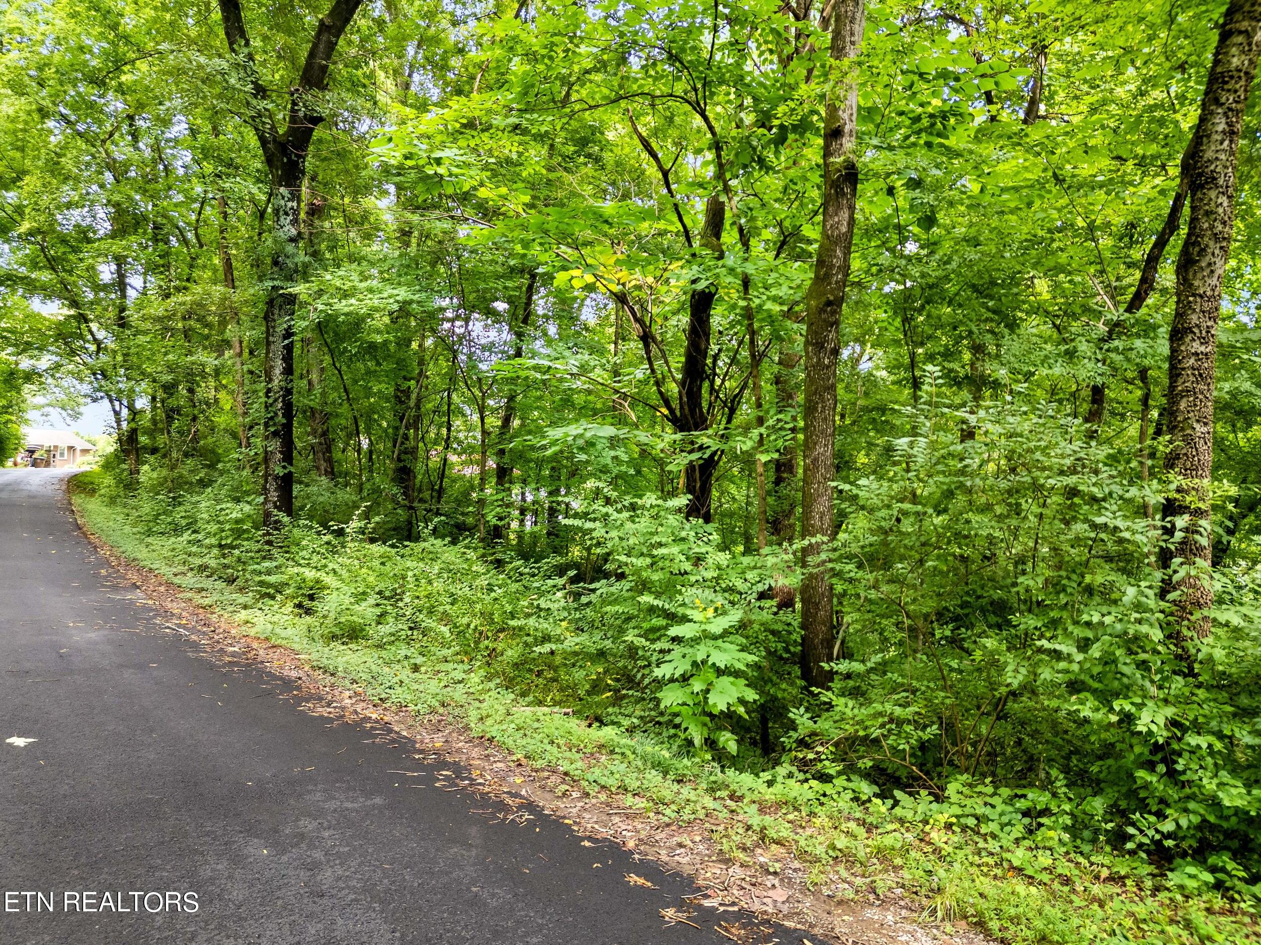 Photo 7 of 12 of 4801 Parva Drive land