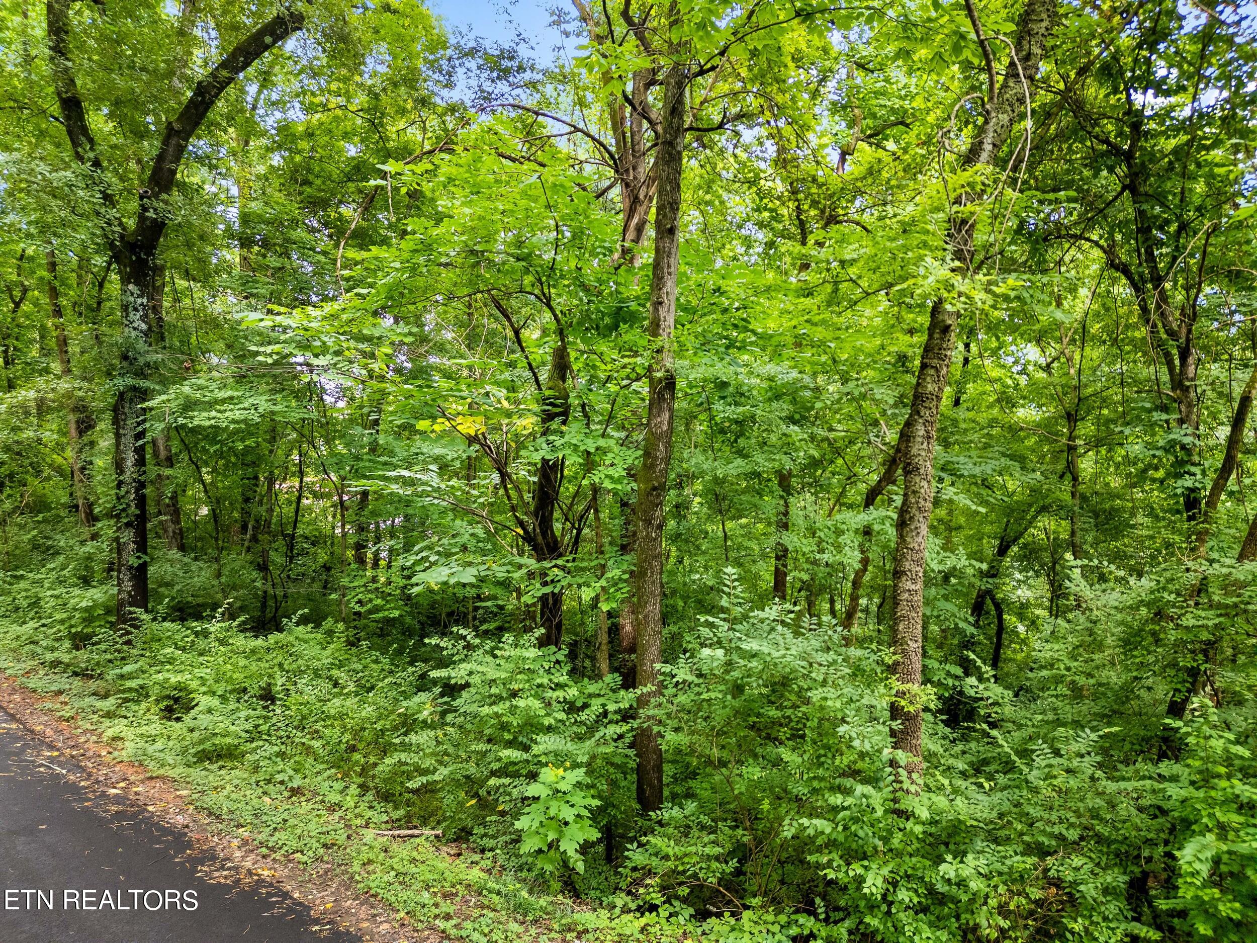 Photo 8 of 12 of 4801 Parva Drive land