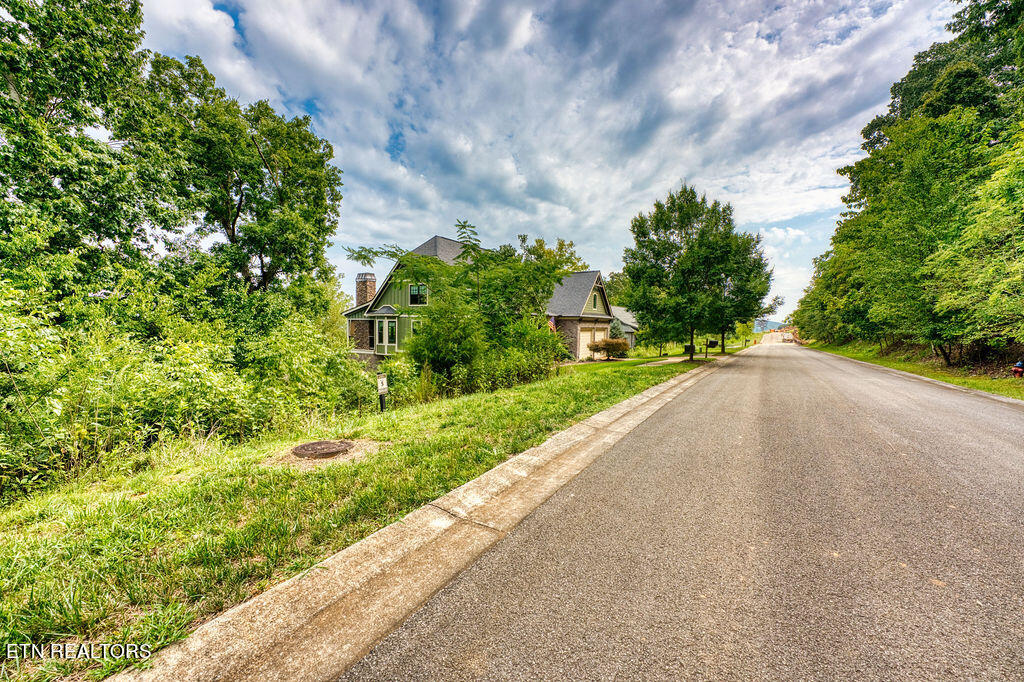 Photo 17 of 30 of 651 Black Cove Lane land