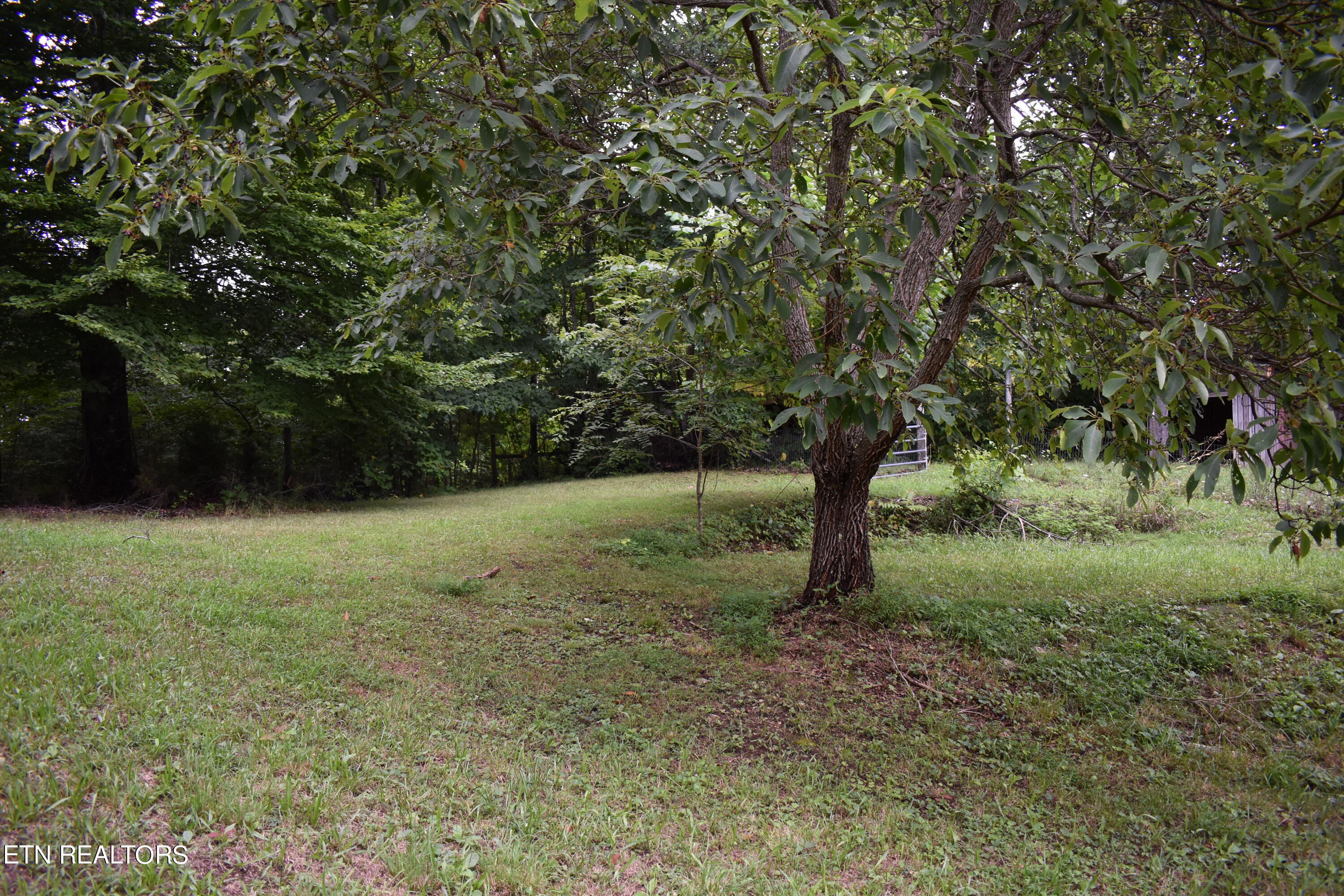 Photo 10 of 20 of 687 Cupp Ridge Rd mobile home