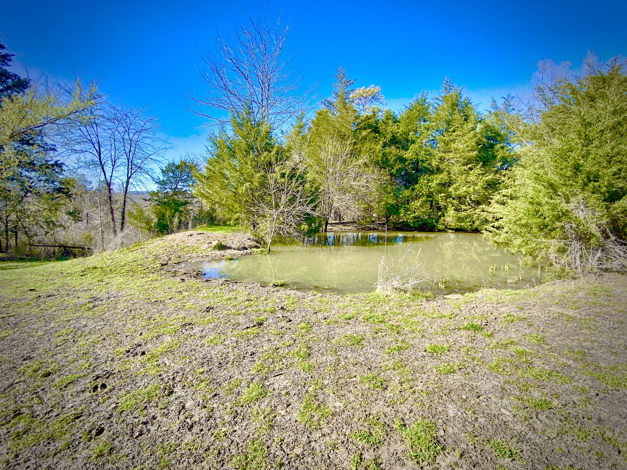 Photo 59 of 70 of 324 Moore Hollow Rd house