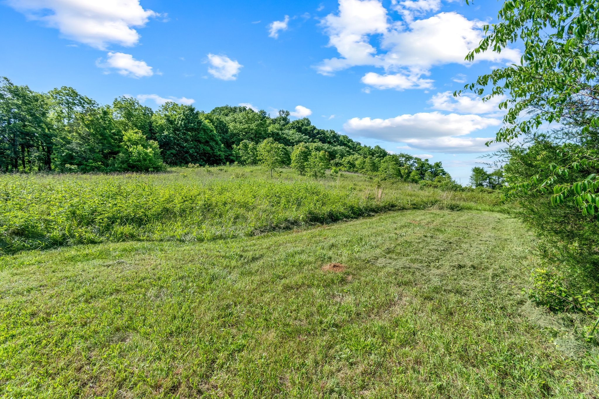 Photo 44 of 52 of 3620 Diana Ridge Road land