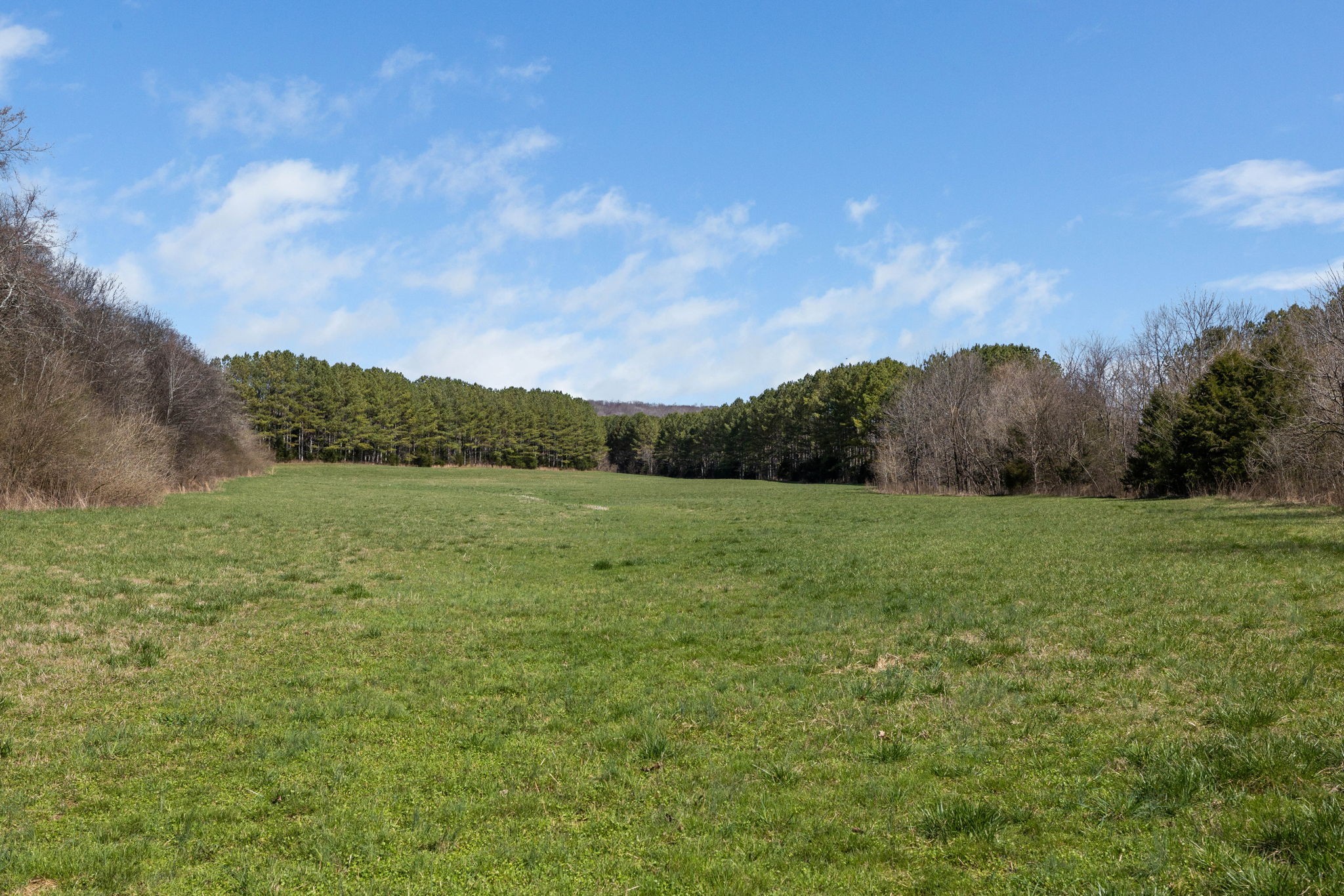 Photo 50 of 63 of 377 Hardy Rd land