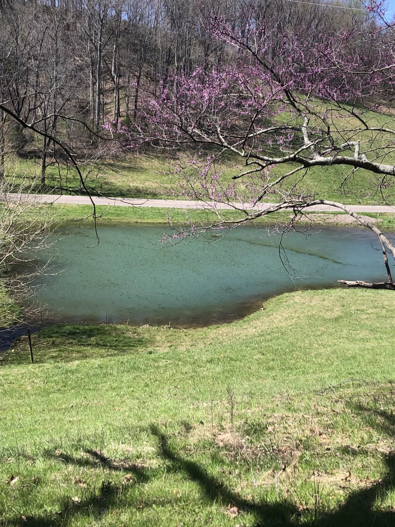 Photo 2 of 7 of 1235 Bunker Hill Rd land