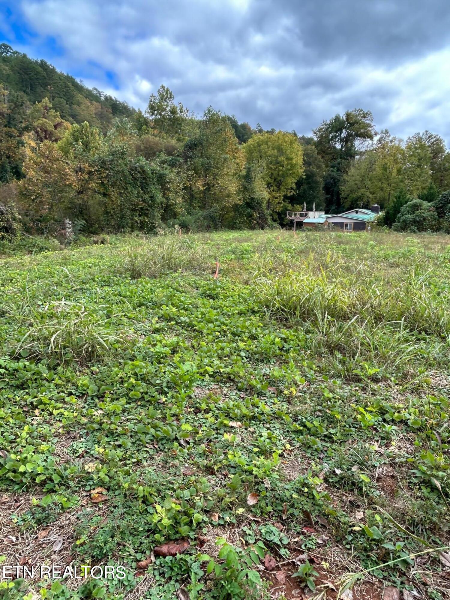 Photo 10 of 10 of 01 Cherohala Skyway land