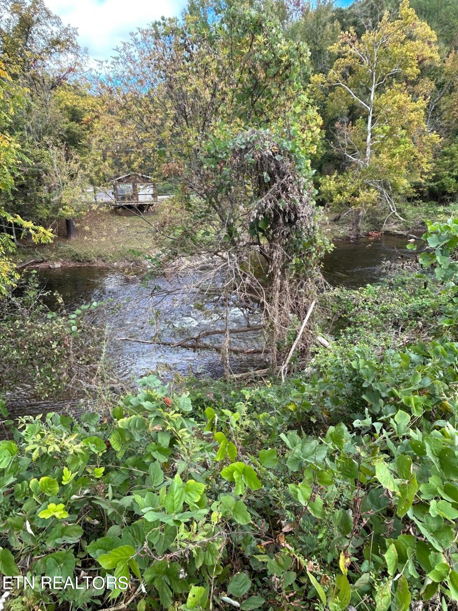 Photo 2 of 10 of 01 Cherohala Skyway land