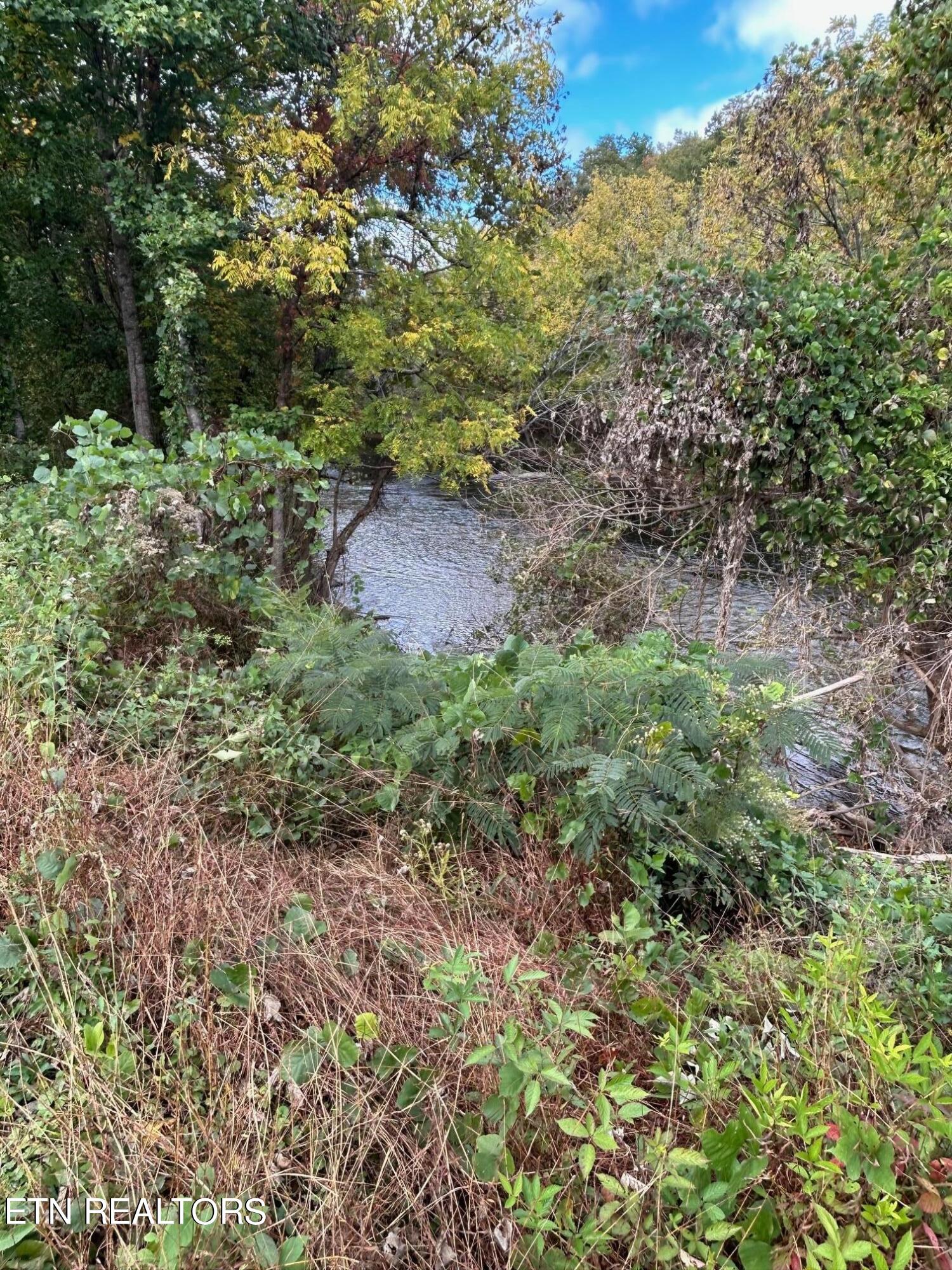 Photo 3 of 10 of 01 Cherohala Skyway land