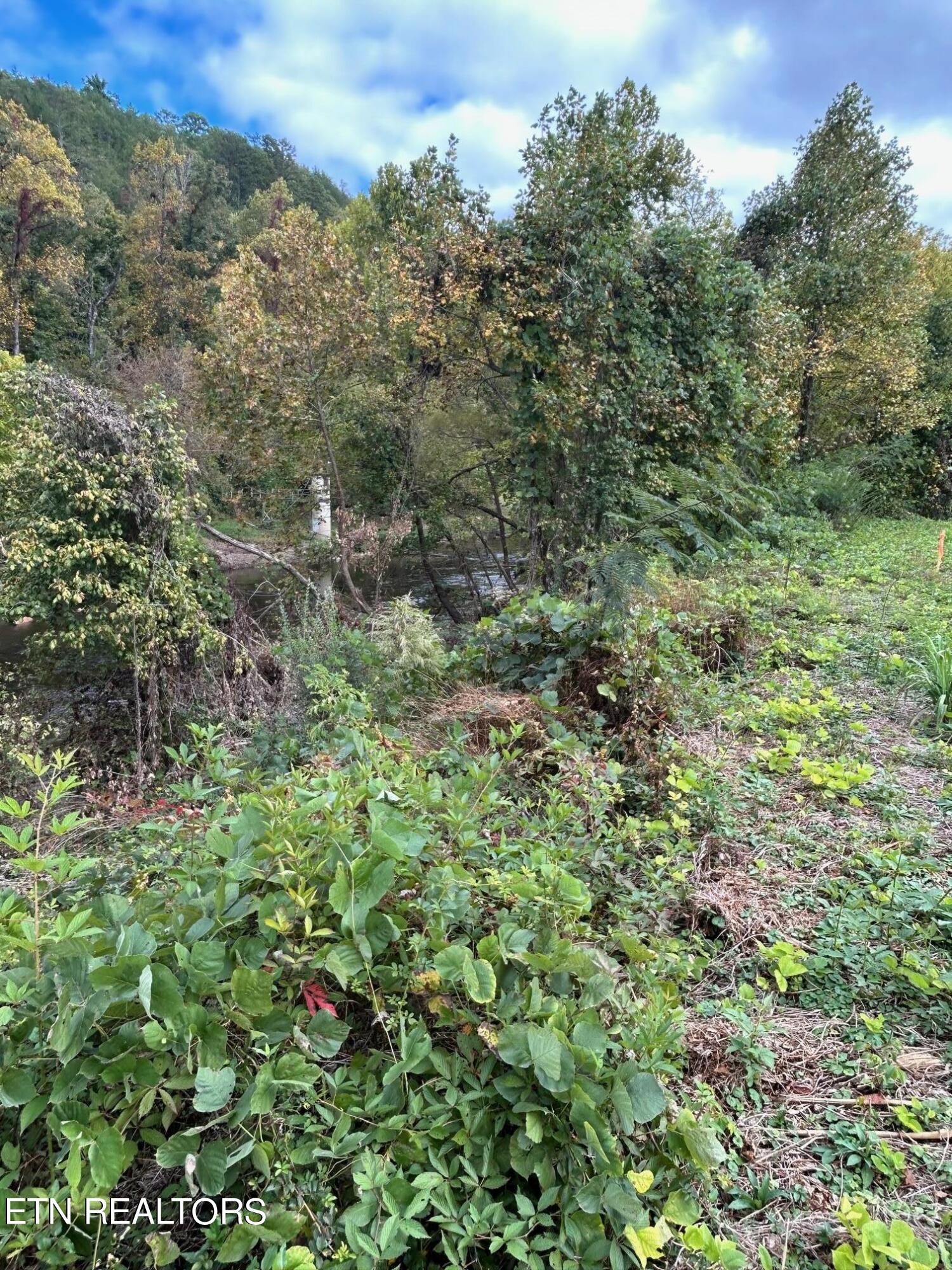 Photo 4 of 10 of 01 Cherohala Skyway land