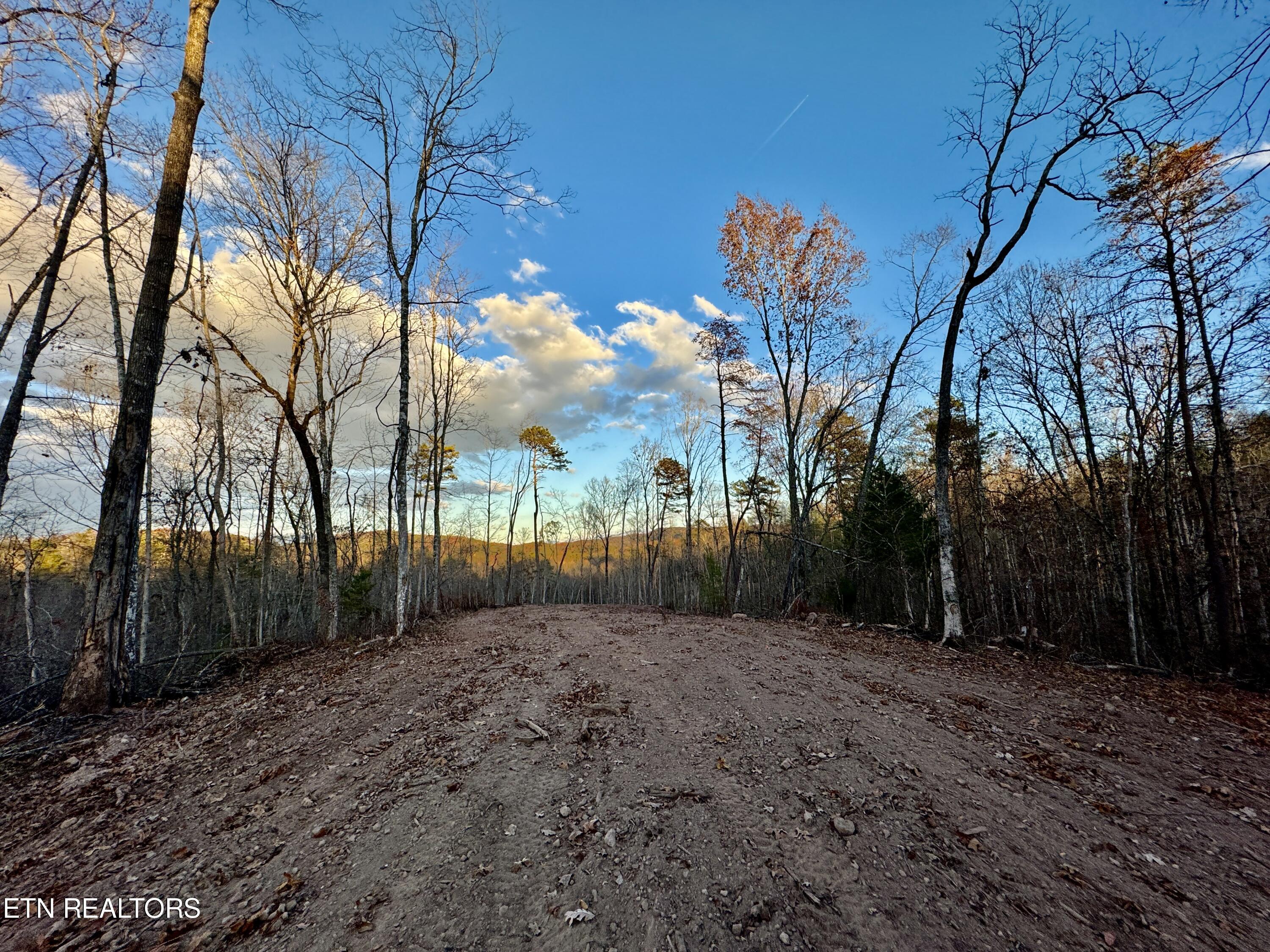 Photo 11 of 39 of Highway 360 land