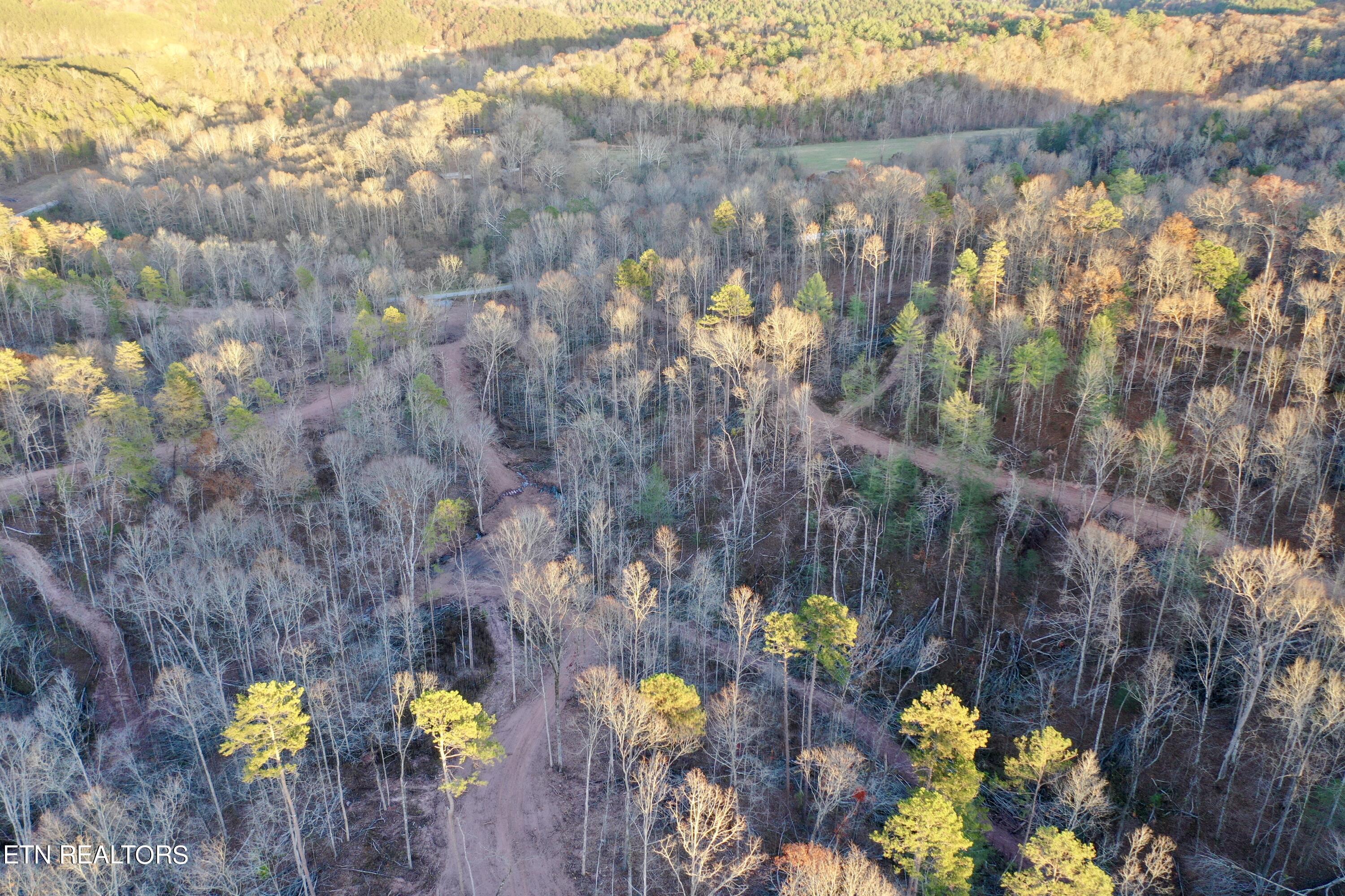 Photo 15 of 39 of Highway 360 land