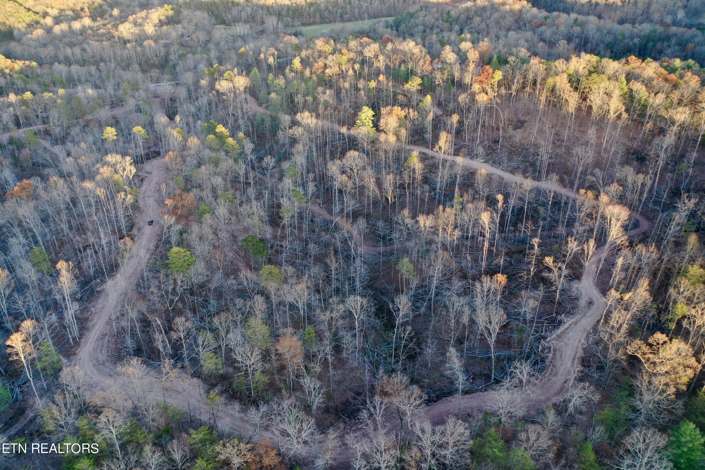 Photo 21 of 39 of Highway 360 land