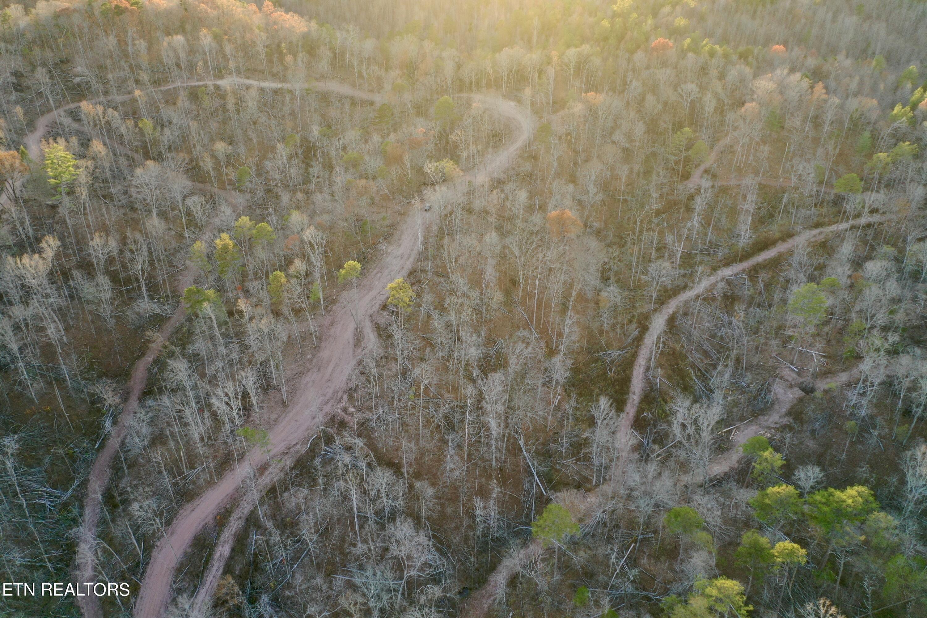 Photo 22 of 39 of Highway 360 land