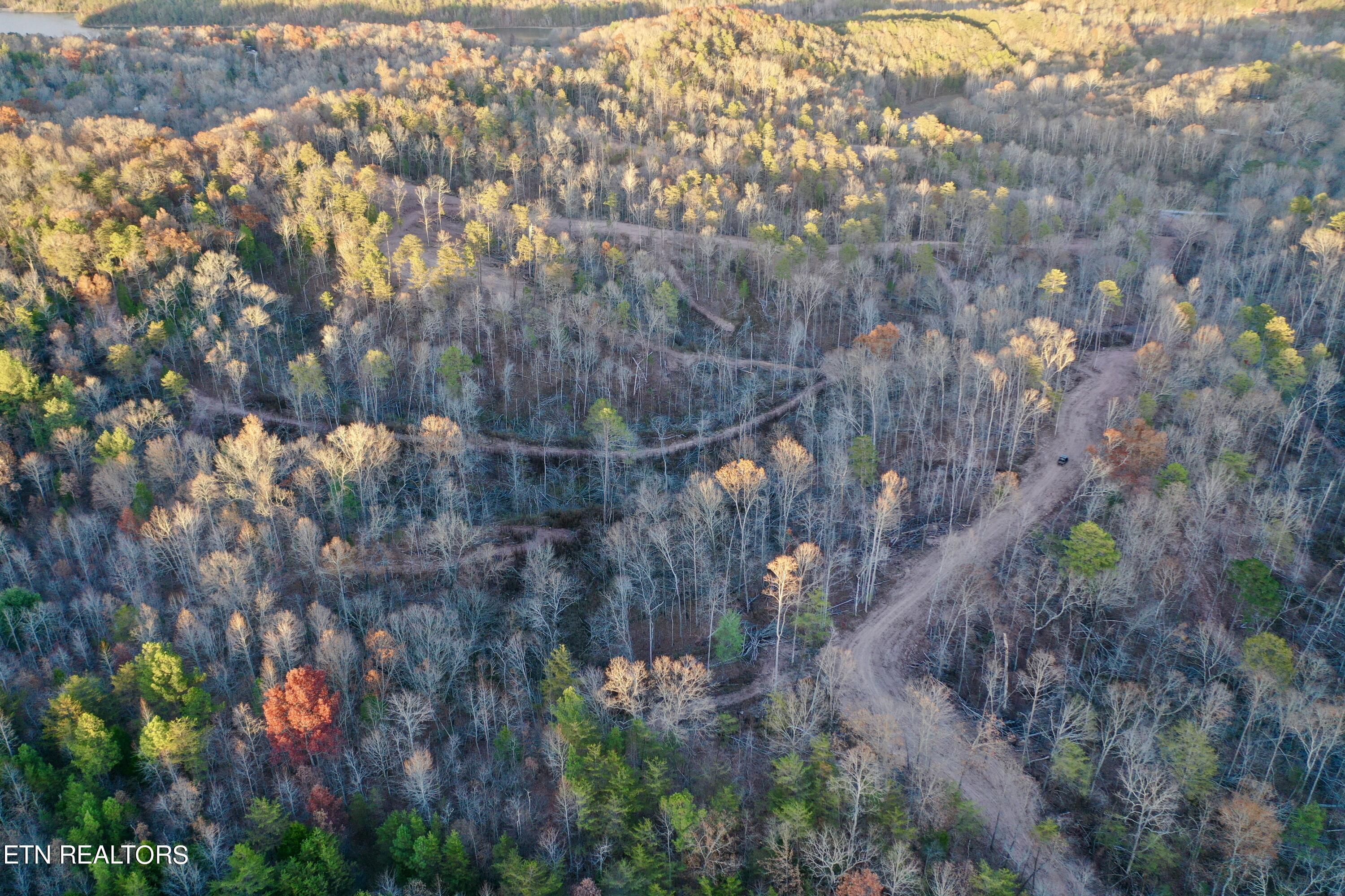 Photo 24 of 39 of Highway 360 land