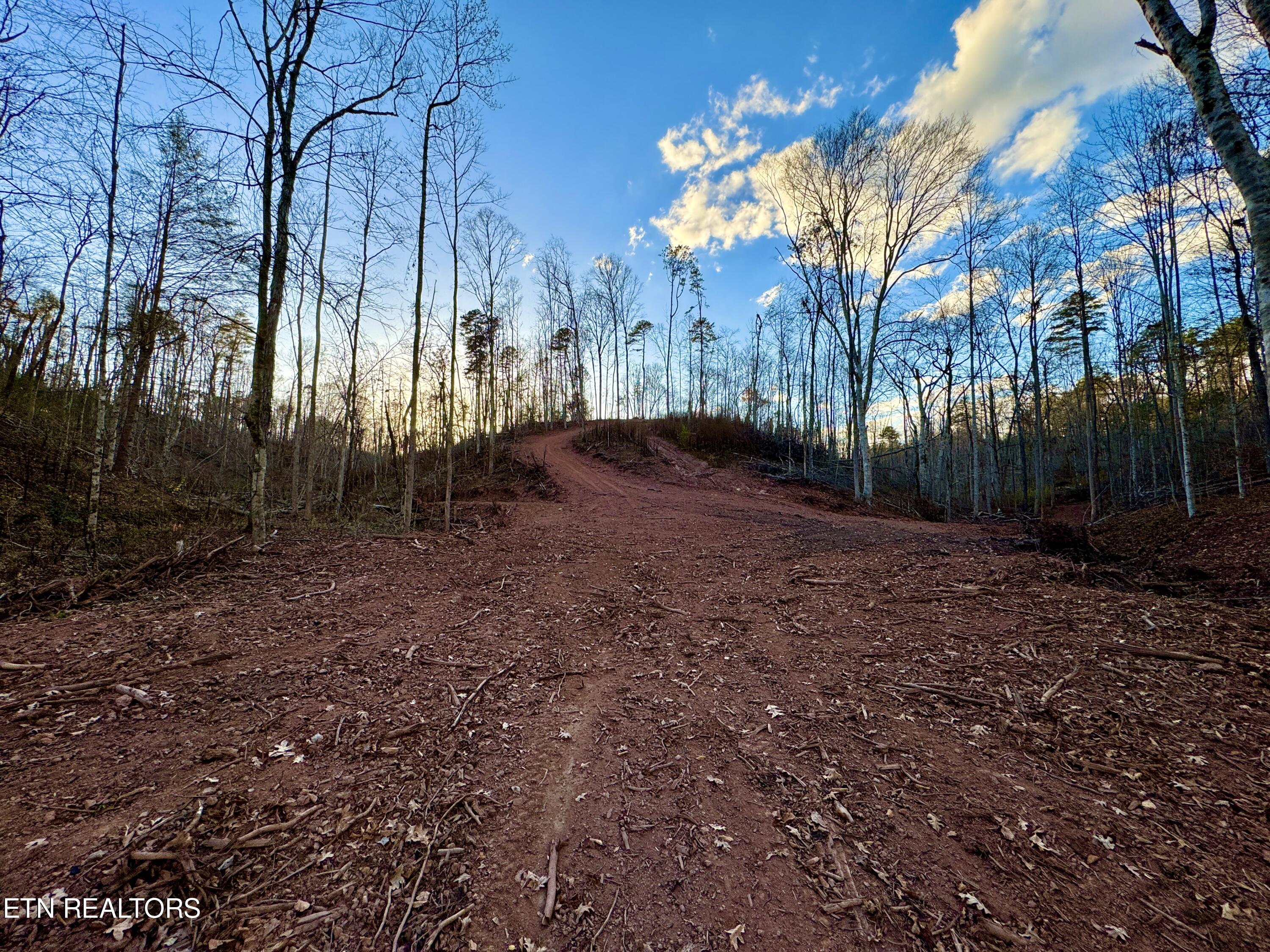 Photo 29 of 39 of Highway 360 land