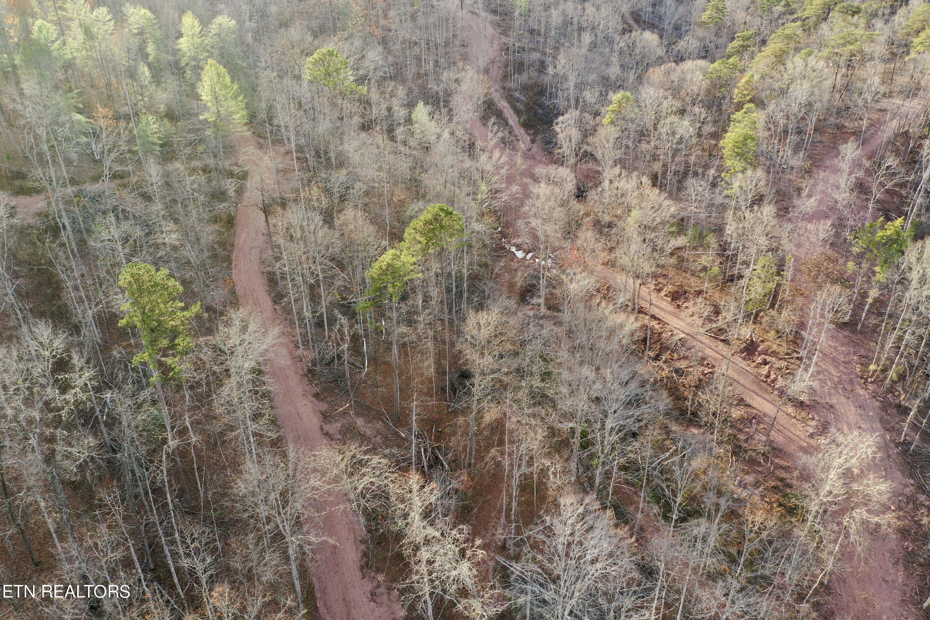 Photo 5 of 39 of Highway 360 land