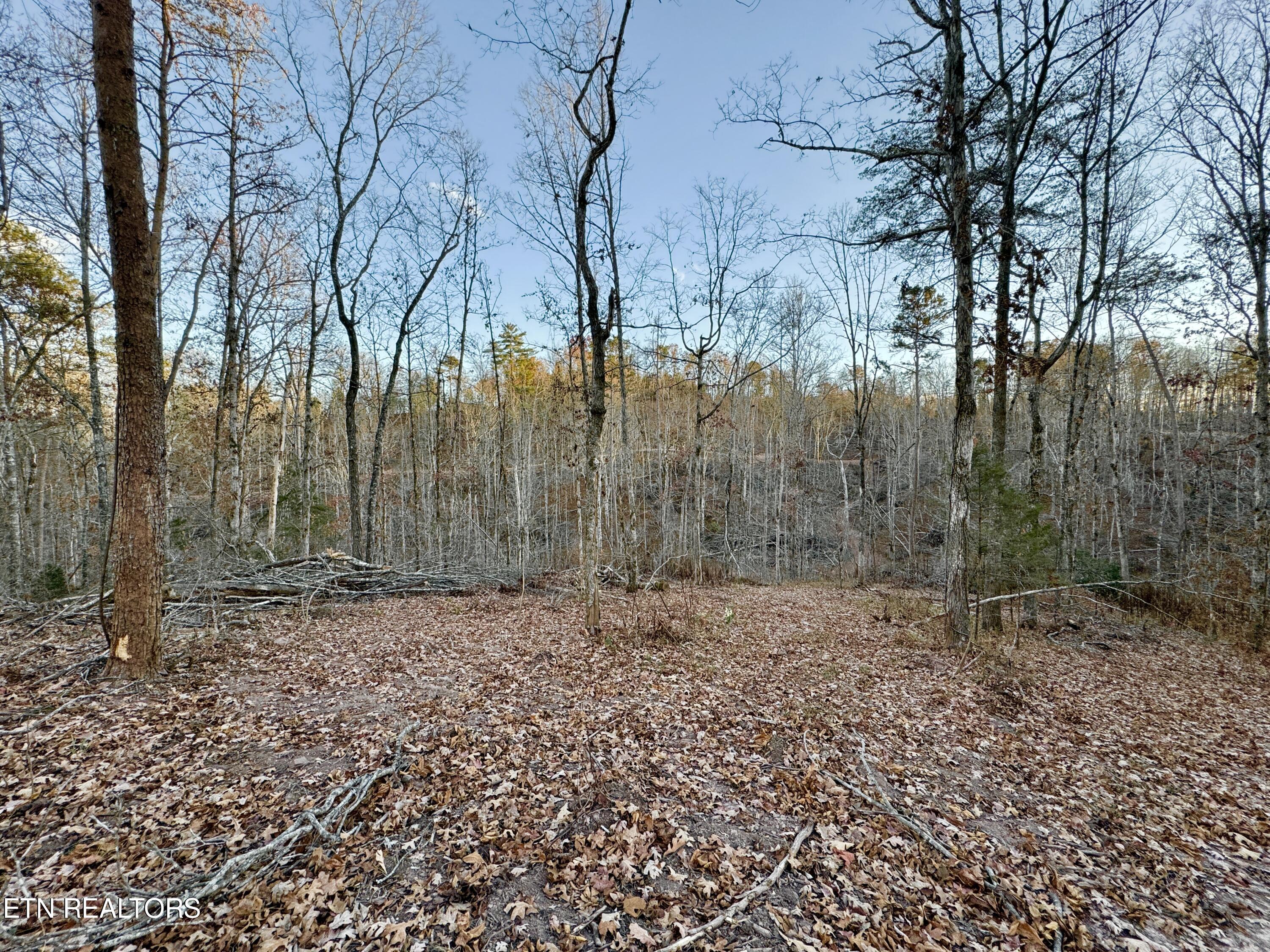 Photo 7 of 39 of Highway 360 land