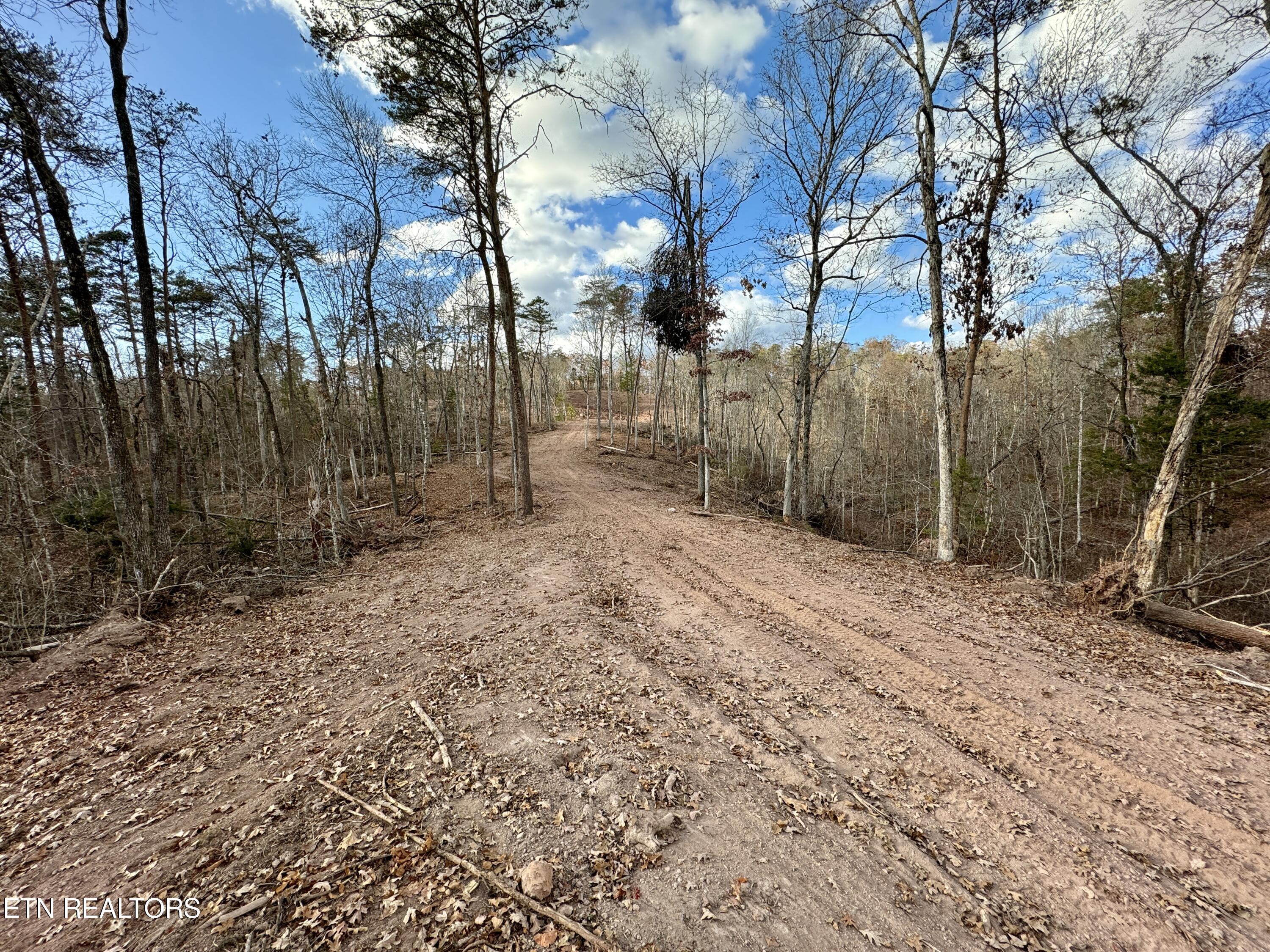 Photo 8 of 39 of Highway 360 land