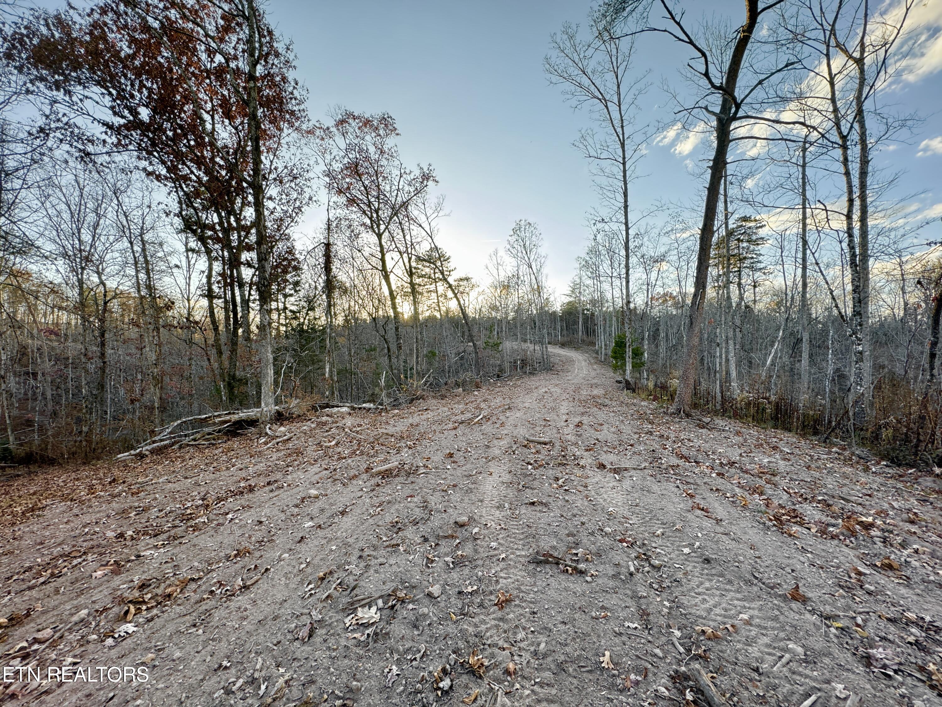 Photo 9 of 39 of Highway 360 land