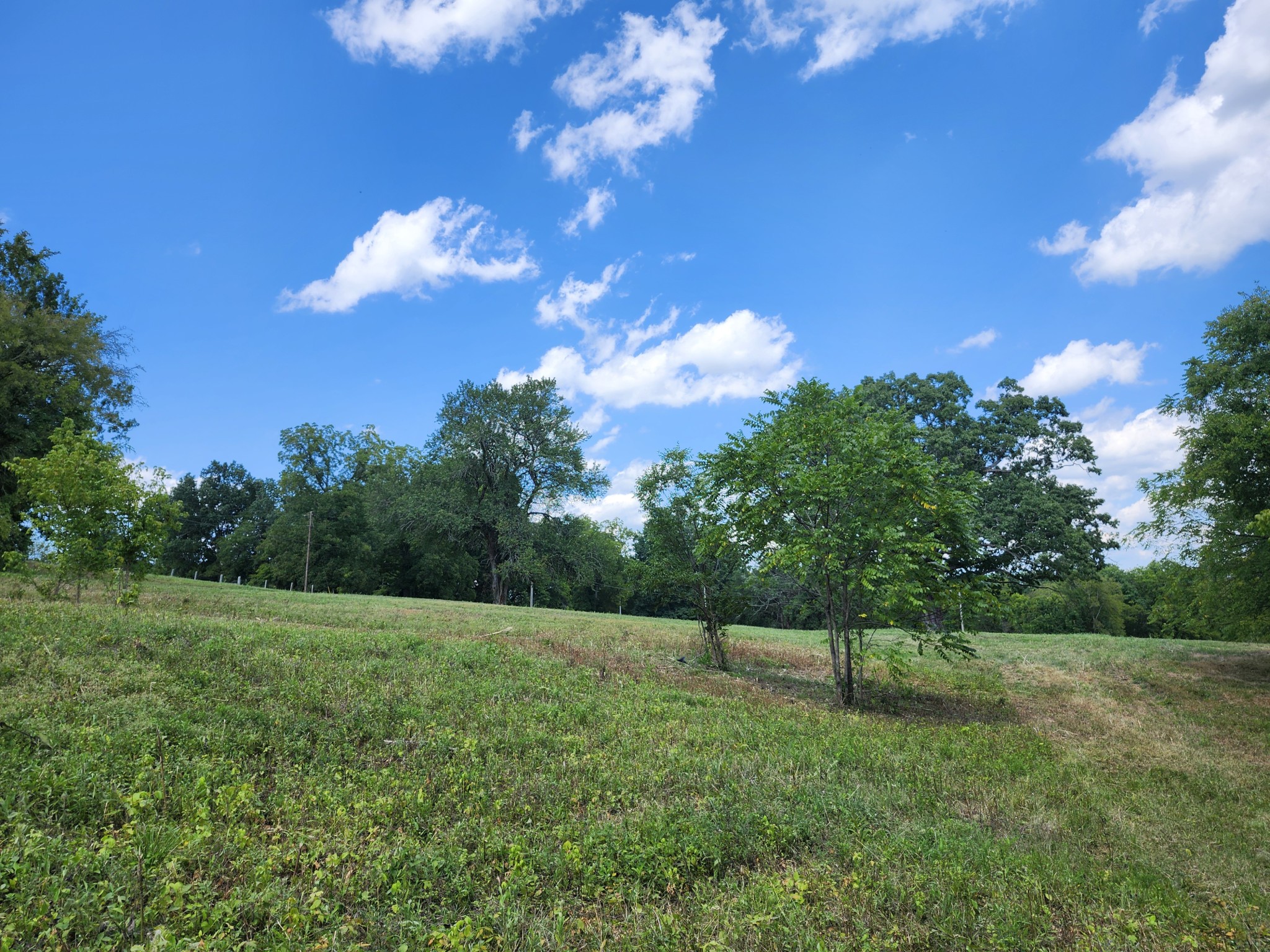 Photo 5 of 5 of 320 Mount Olivet Rd land