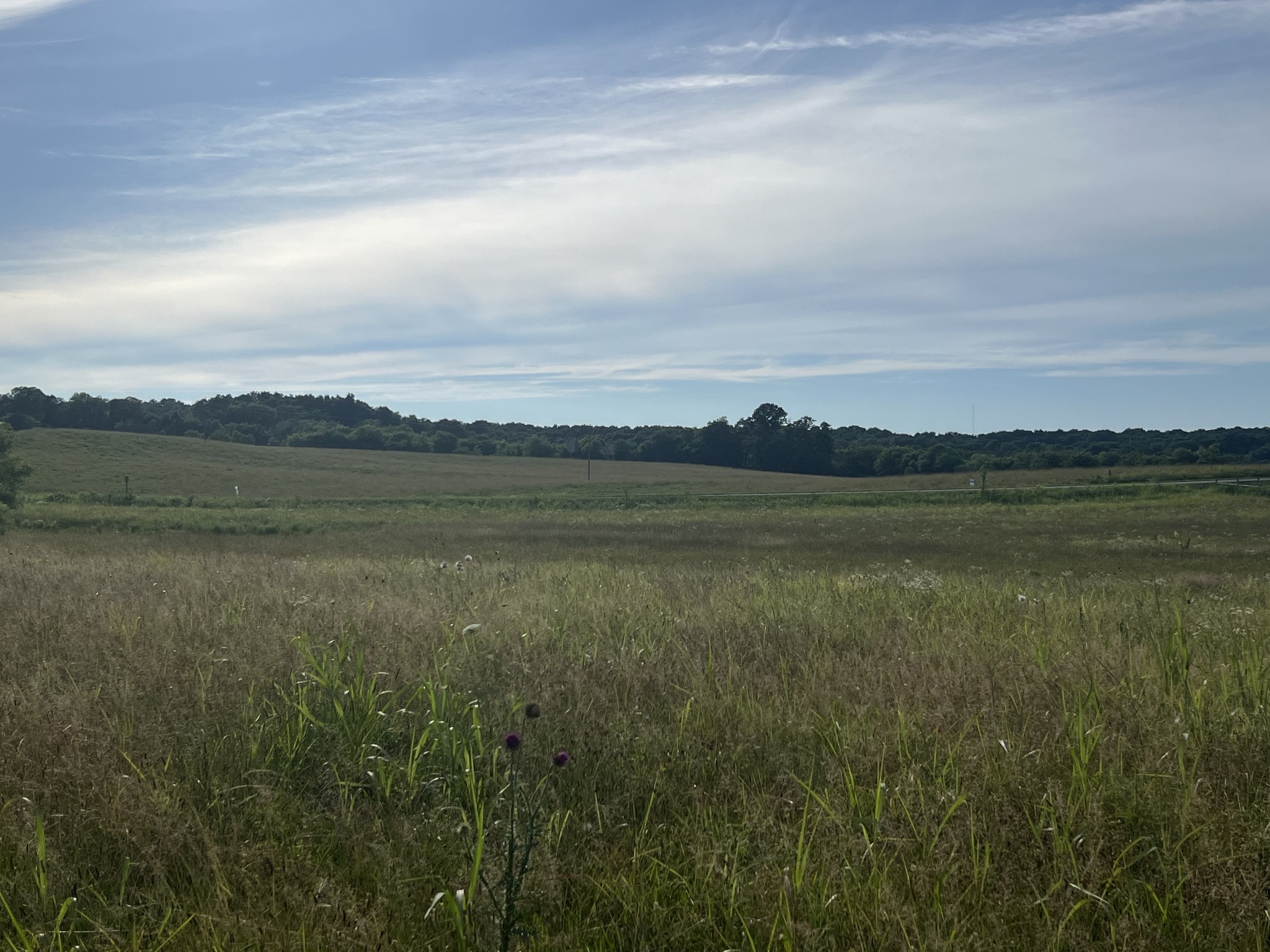 Photo 3 of 3 of 0 Haley Rd land