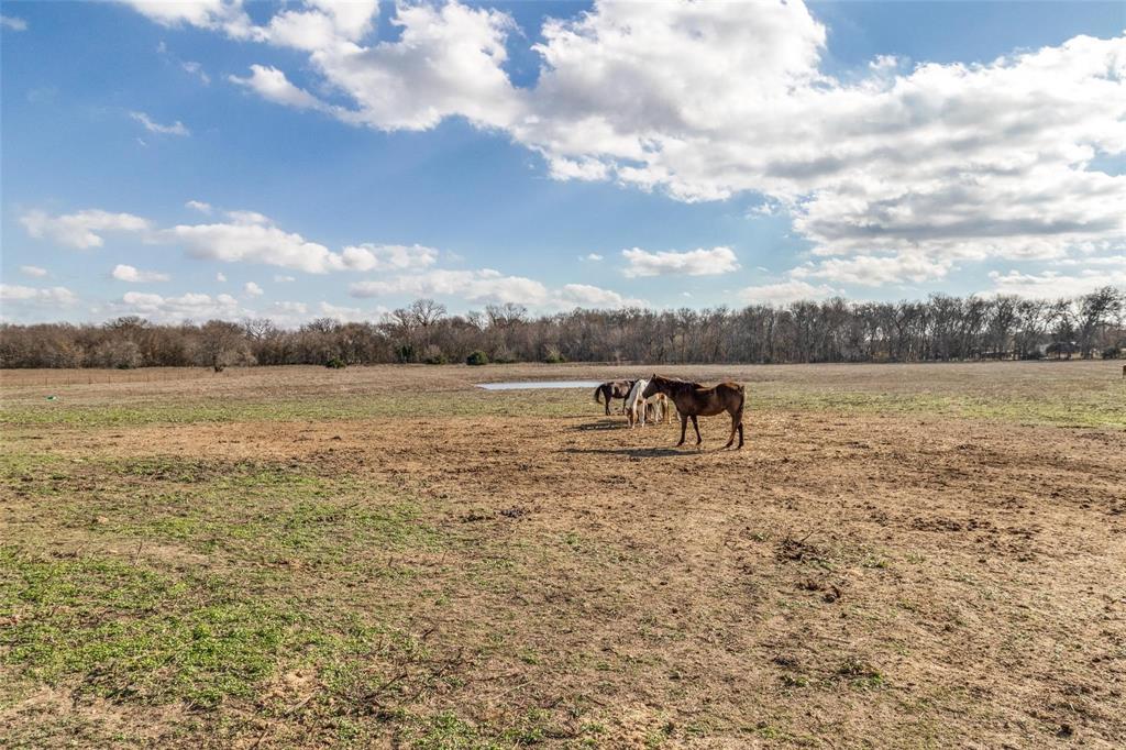 Photo 7 of 11 of 13308 COUNTY ROAD 577 Lot B land