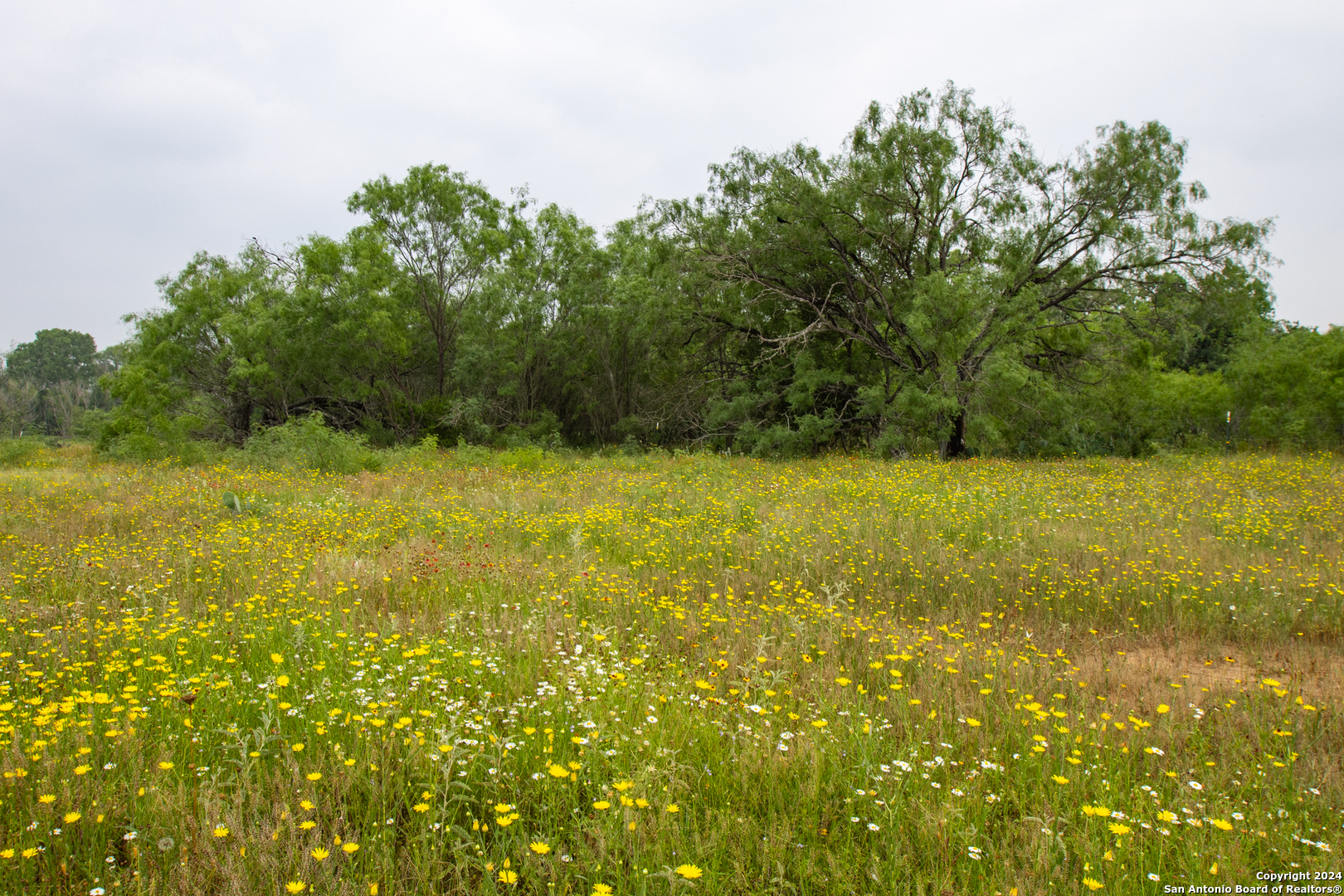 Photo 4 of 42 of 15970 Shepherd Rd land