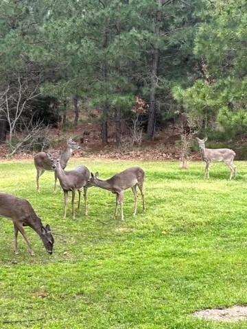 Photo 1 of 10 of 425 Kelley RD land