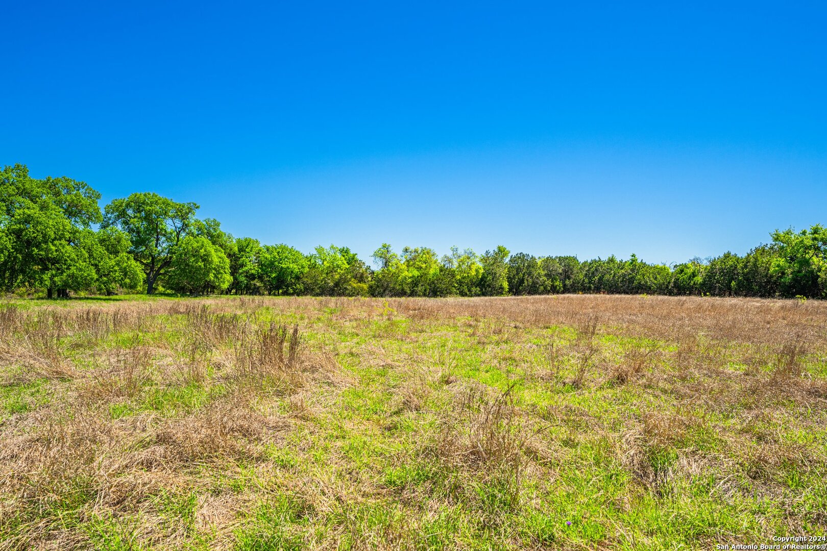 Photo 11 of 39 of 29300 BOERNE STAGE land