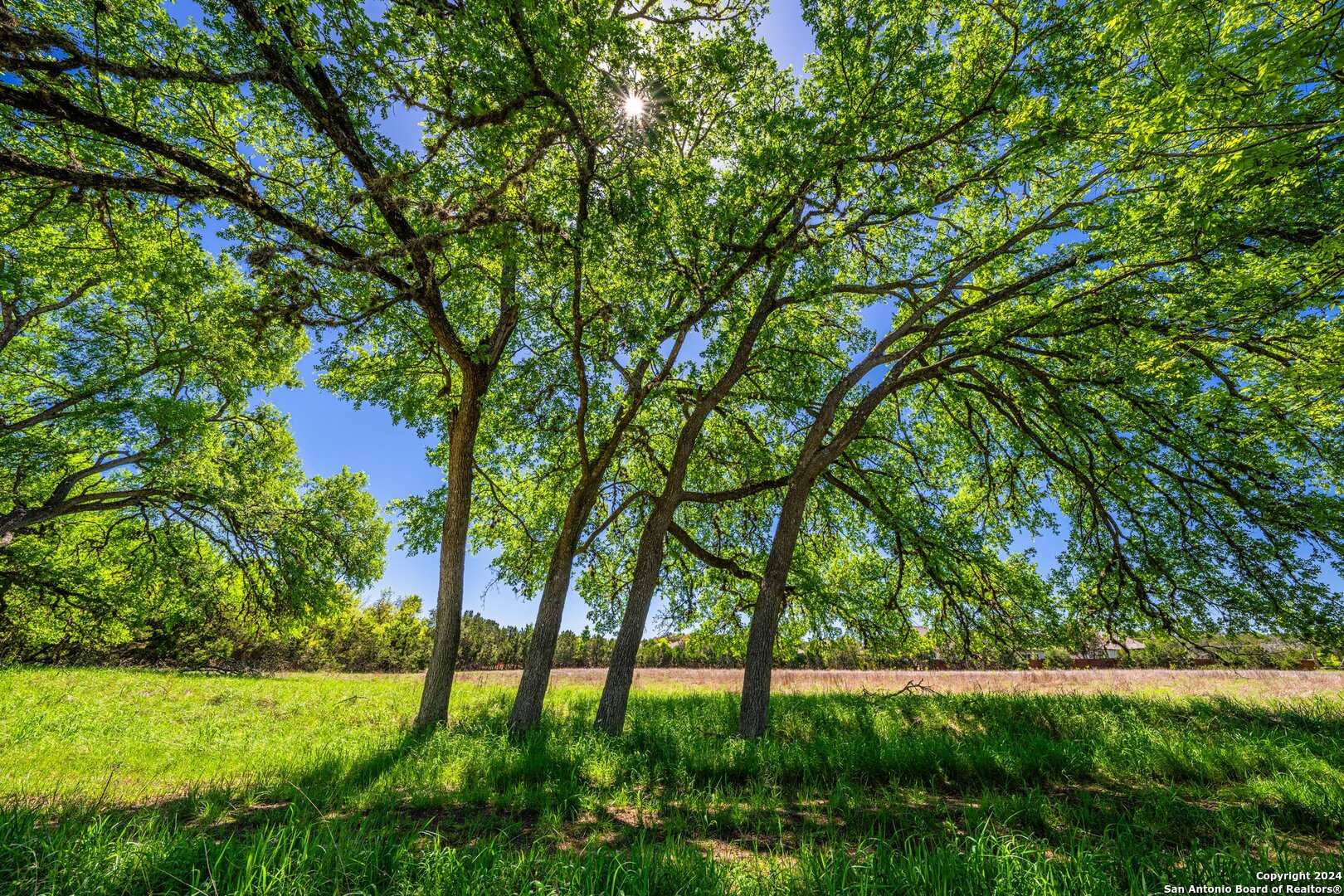 Photo 12 of 39 of 29300 BOERNE STAGE land