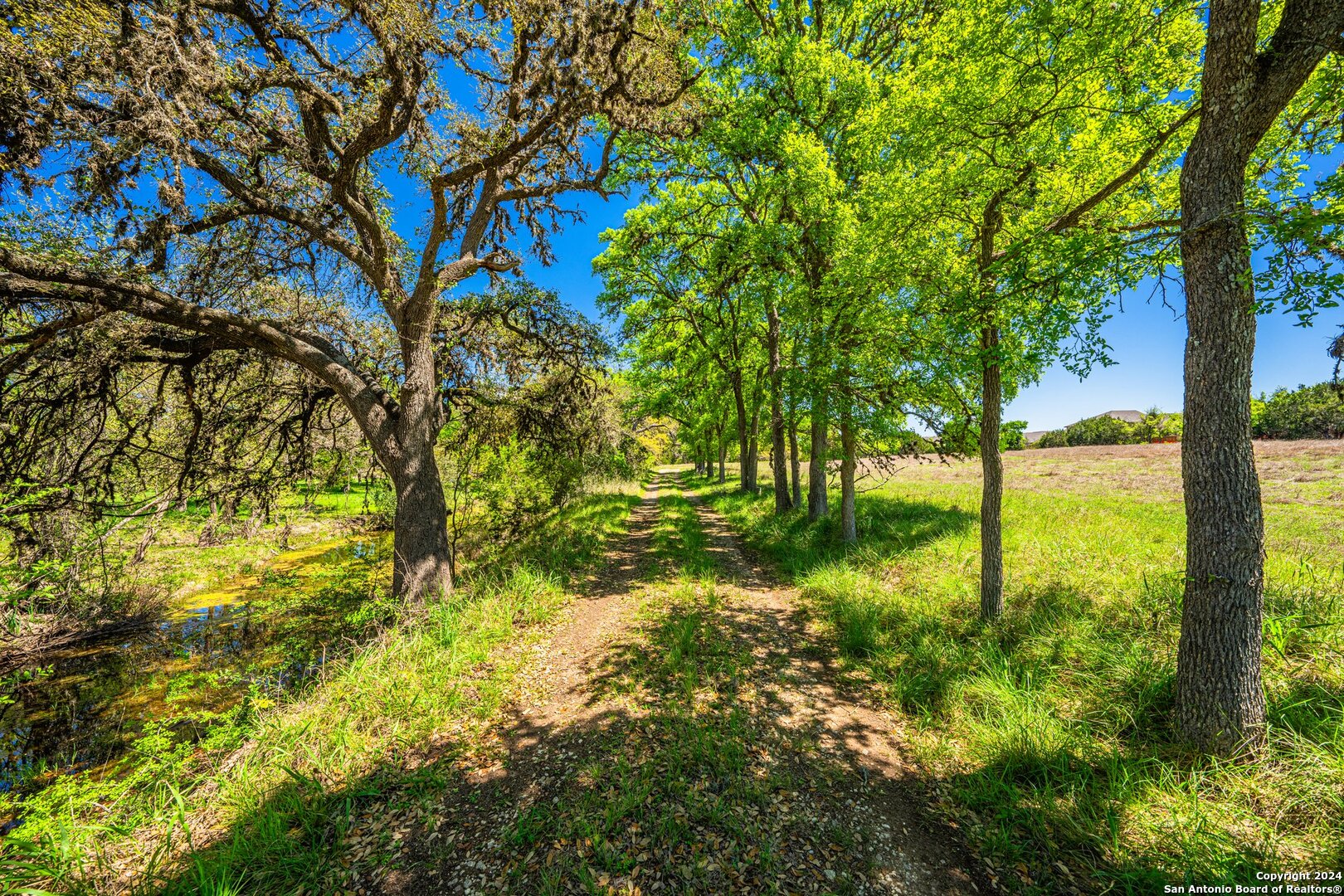 Photo 15 of 39 of 29300 BOERNE STAGE land