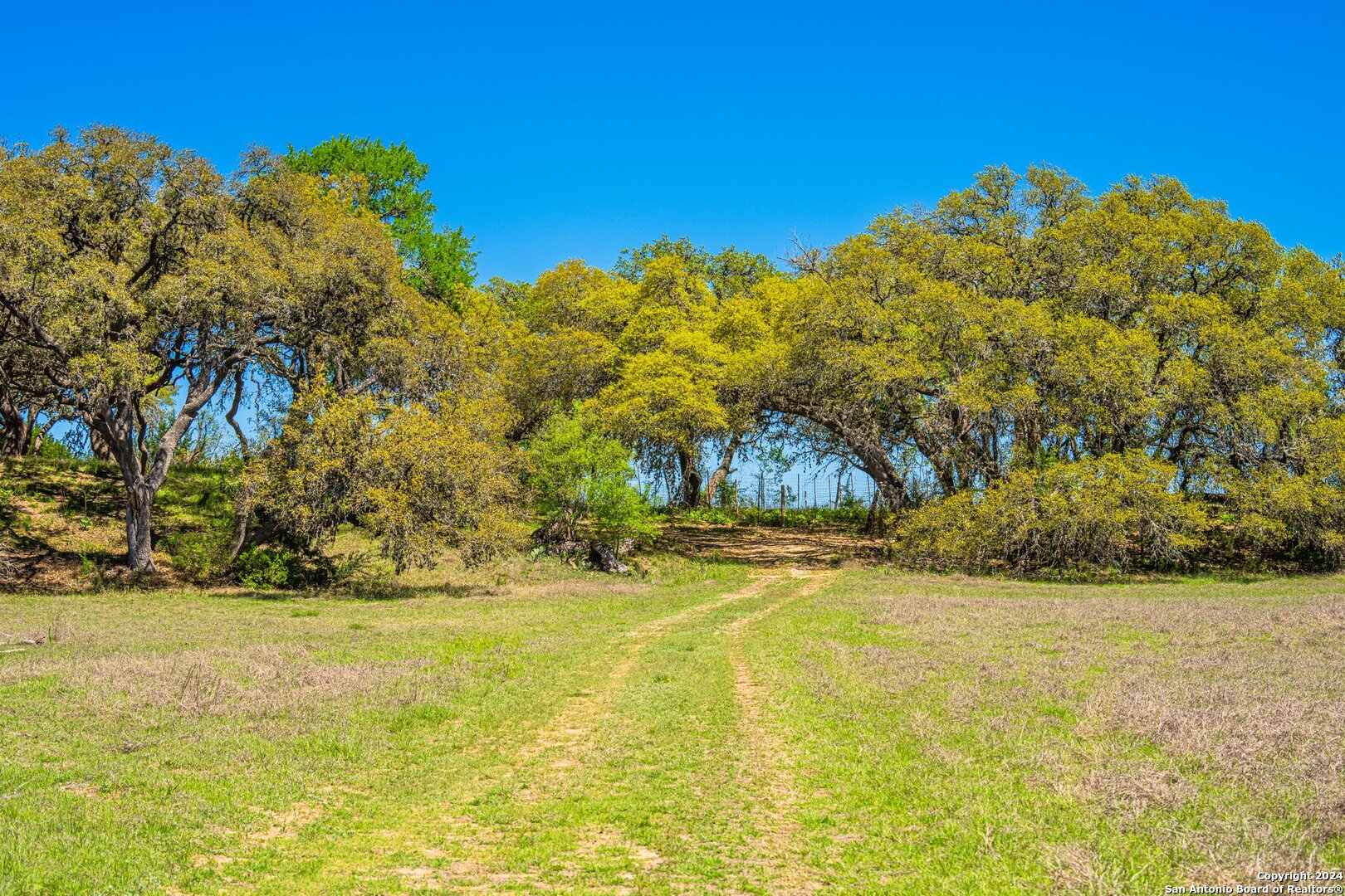 Photo 18 of 39 of 29300 BOERNE STAGE land