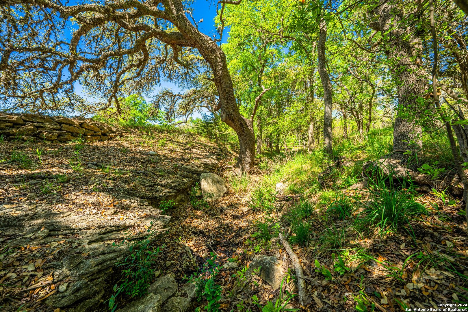 Photo 20 of 39 of 29300 BOERNE STAGE land